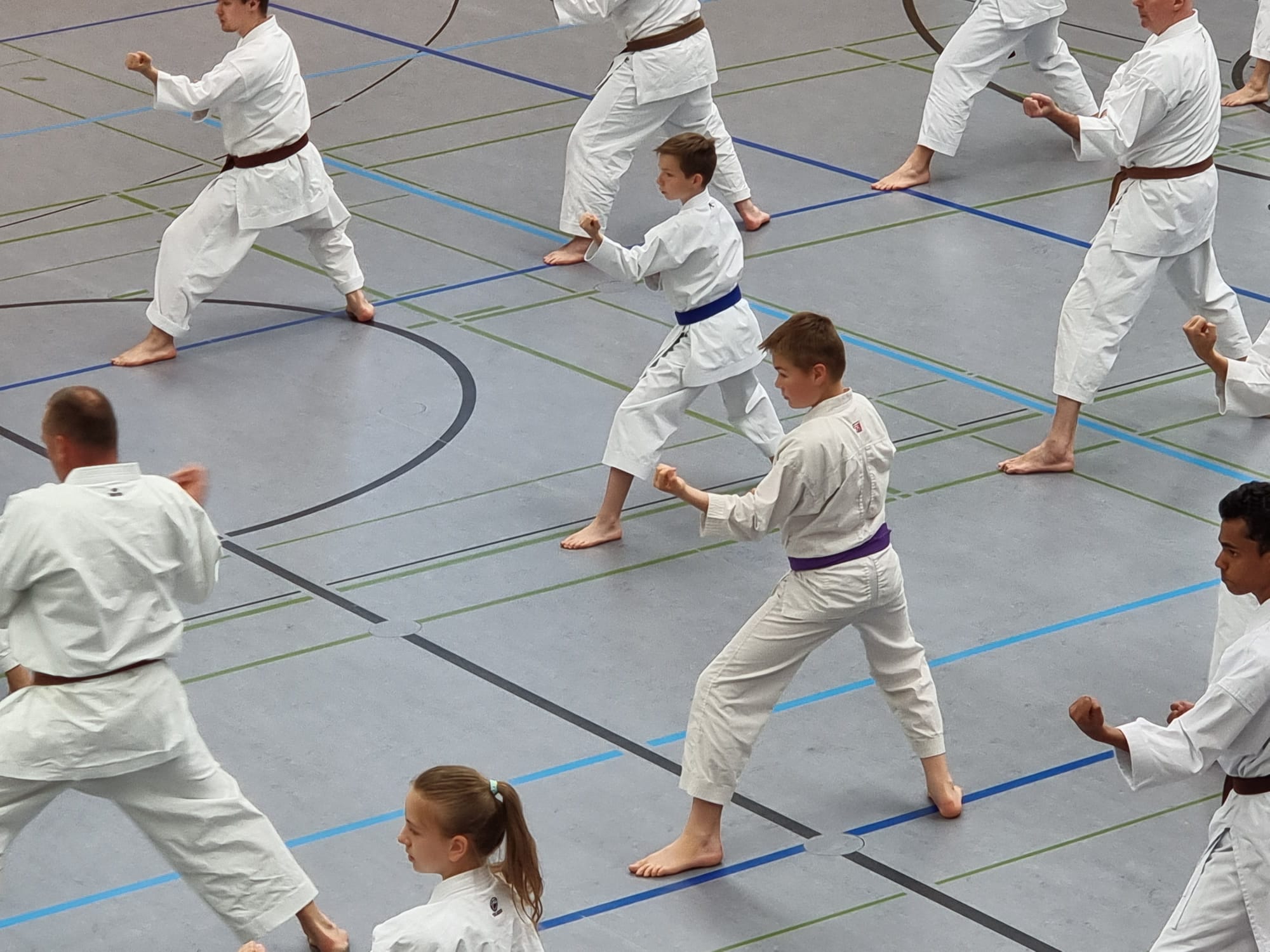 Vergrößerbares Bild