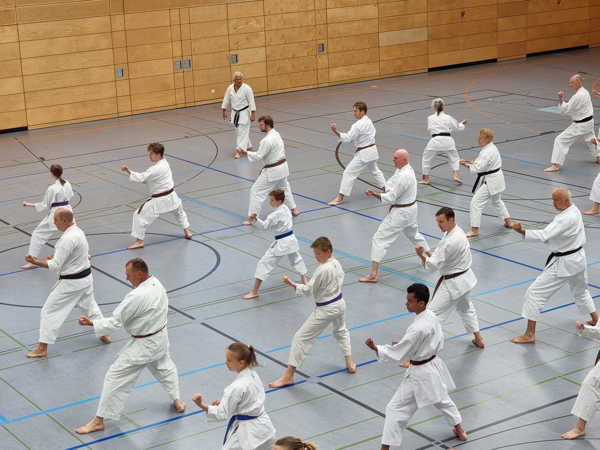 Vergrößerbares Bild