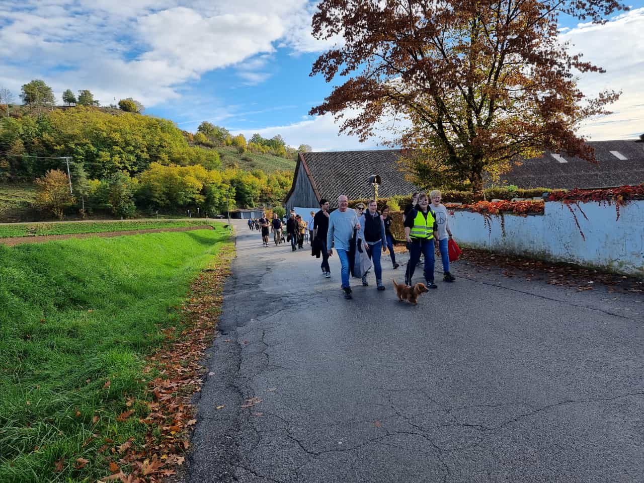 Vergrößerbares Bild