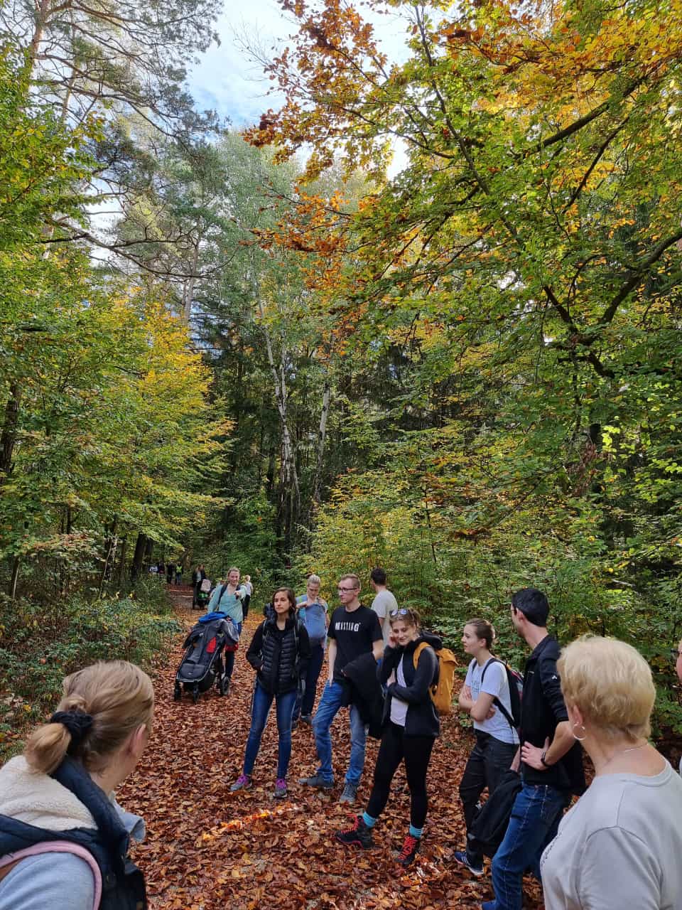 Vergrößerbares Bild