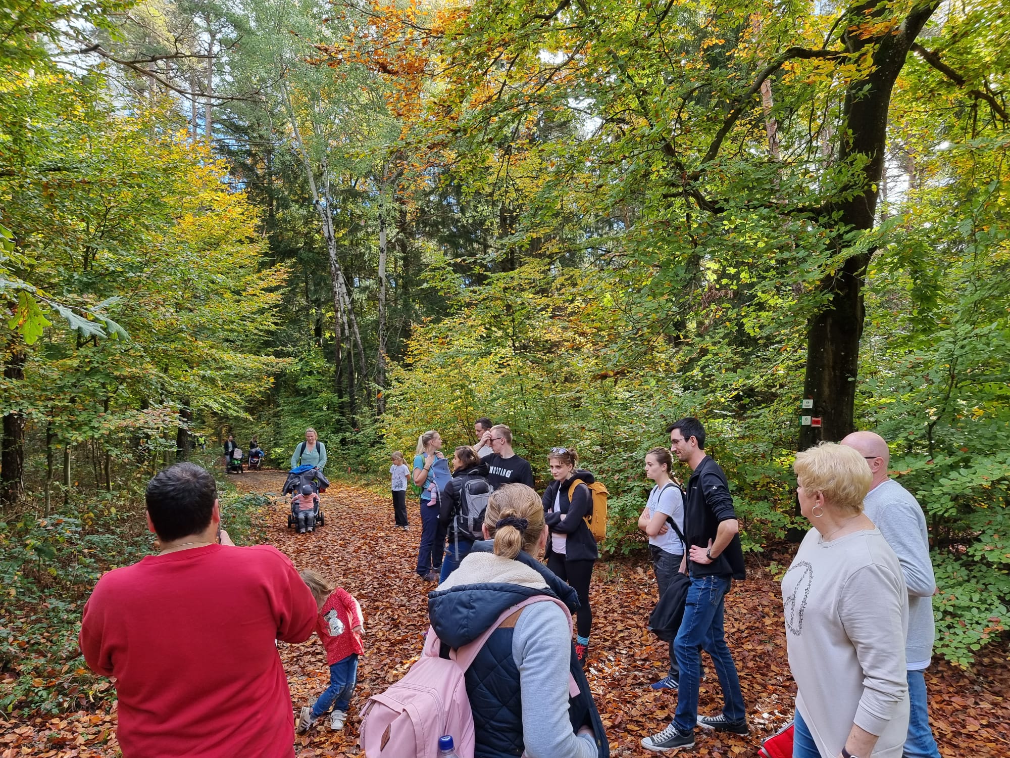 Vergrößerbares Bild