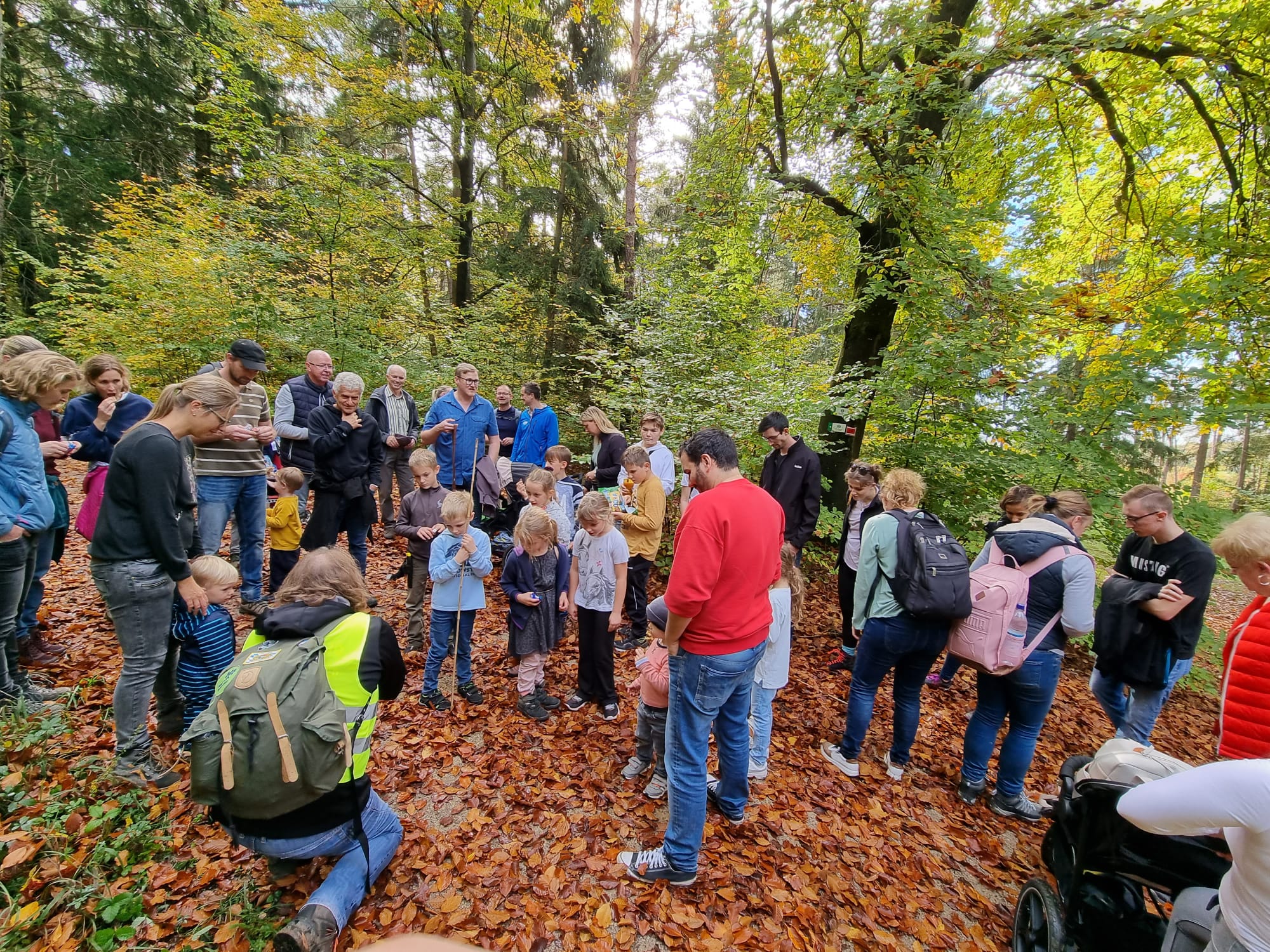 Vergrößerbares Bild