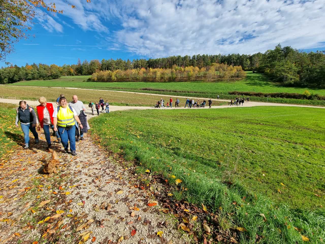 Vergrößerbares Bild
