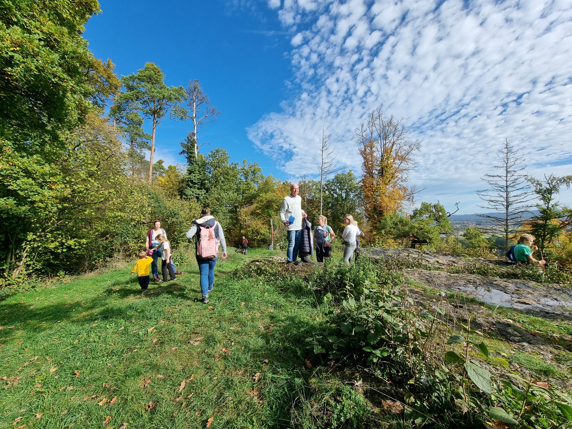 Vergrößerbares Bild