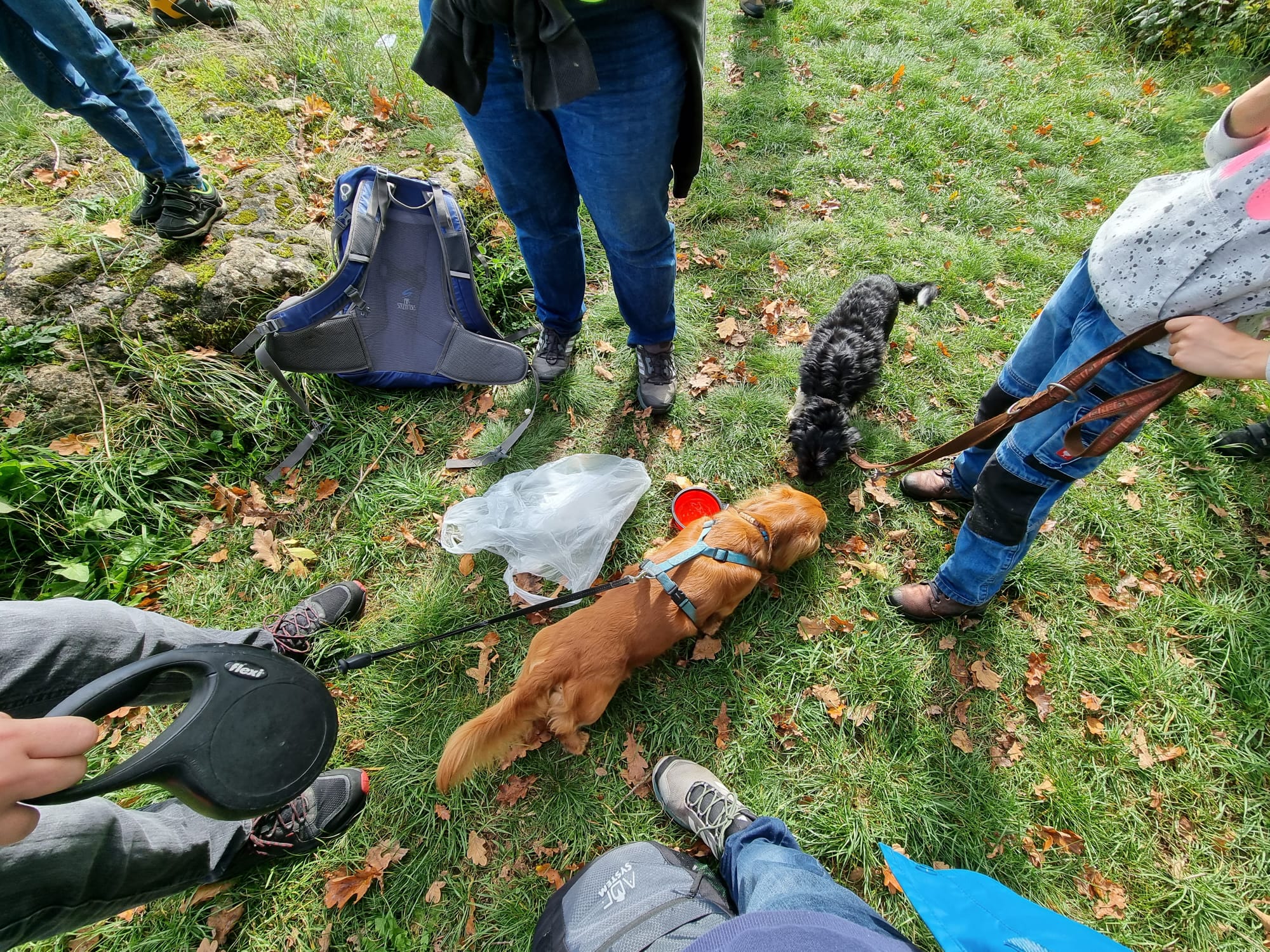 Vergrößerbares Bild