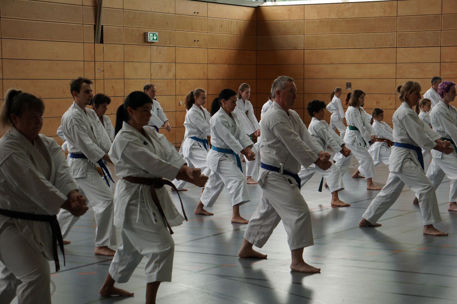 Vergrößerbares Bild