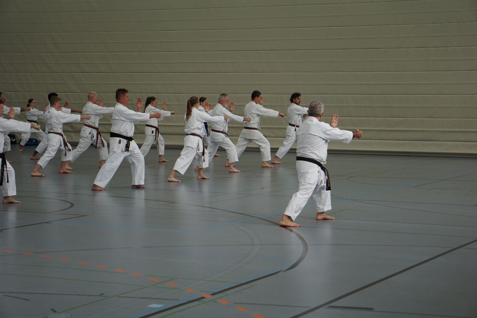 Vergrößerbares Bild