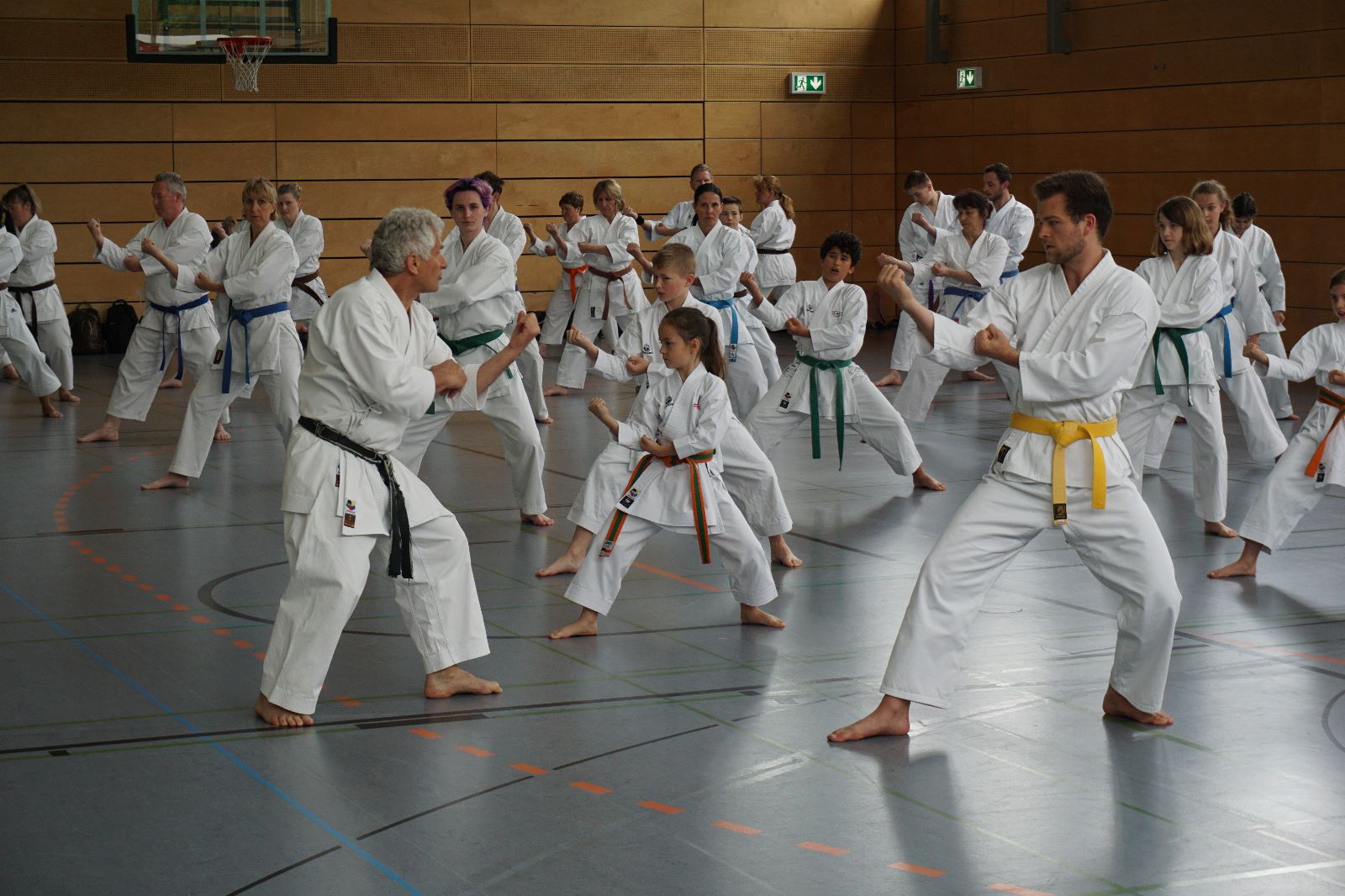 Vergrößerbares Bild