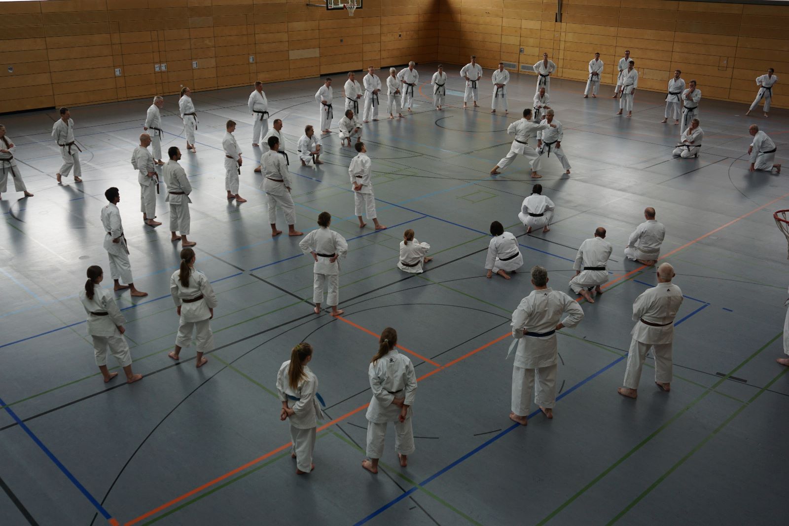 Vergrößerbares Bild