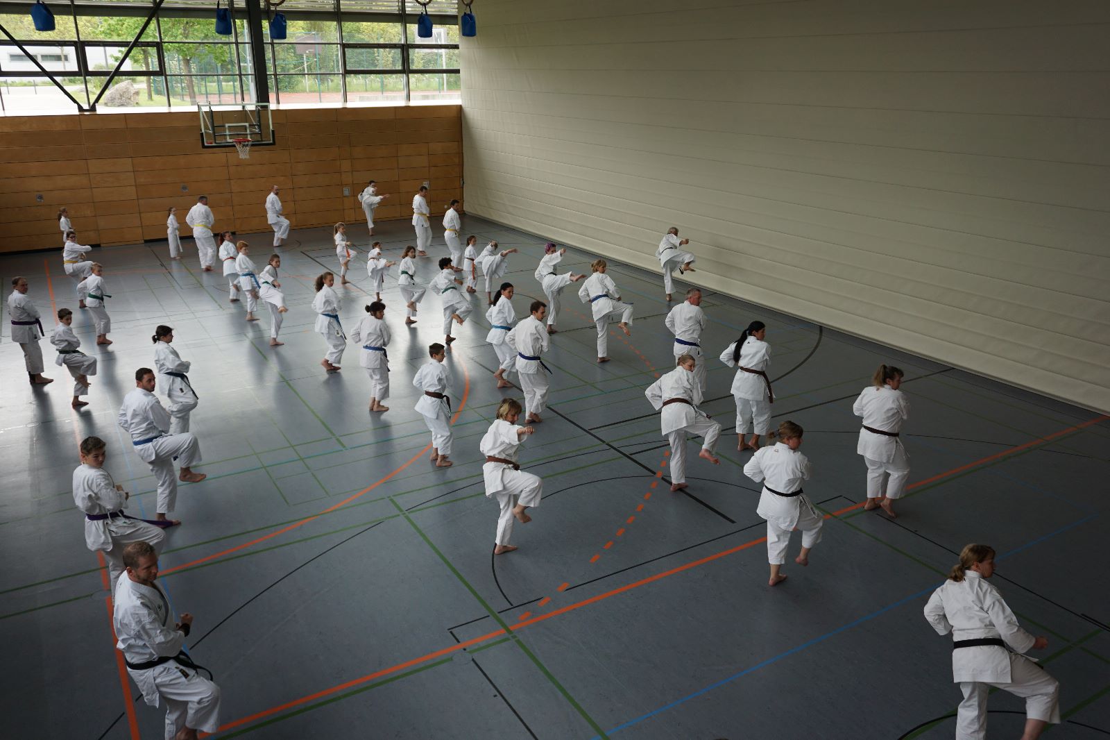 Vergrößerbares Bild