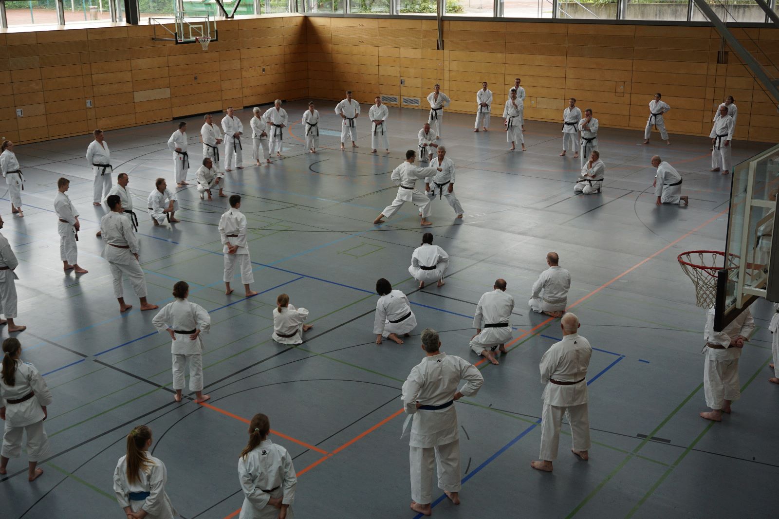 Vergrößerbares Bild