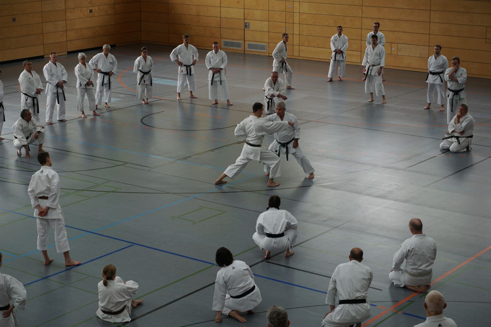 Vergrößerbares Bild