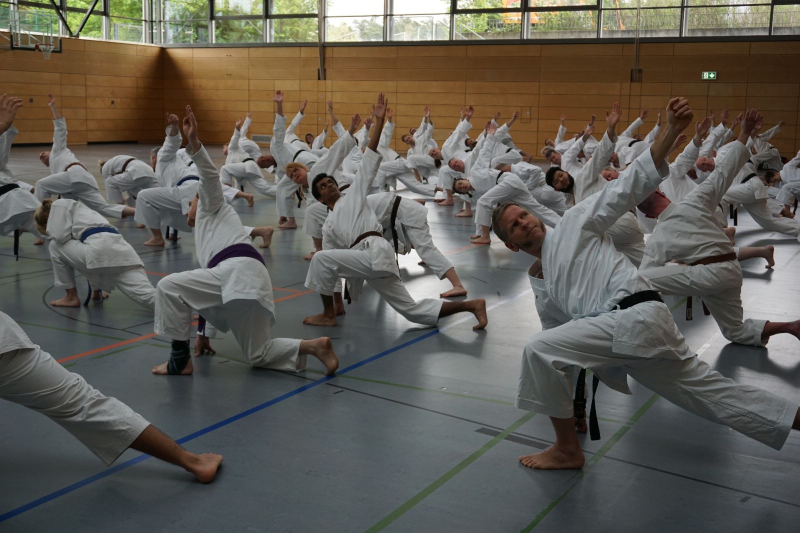 Vergrößerbares Bild