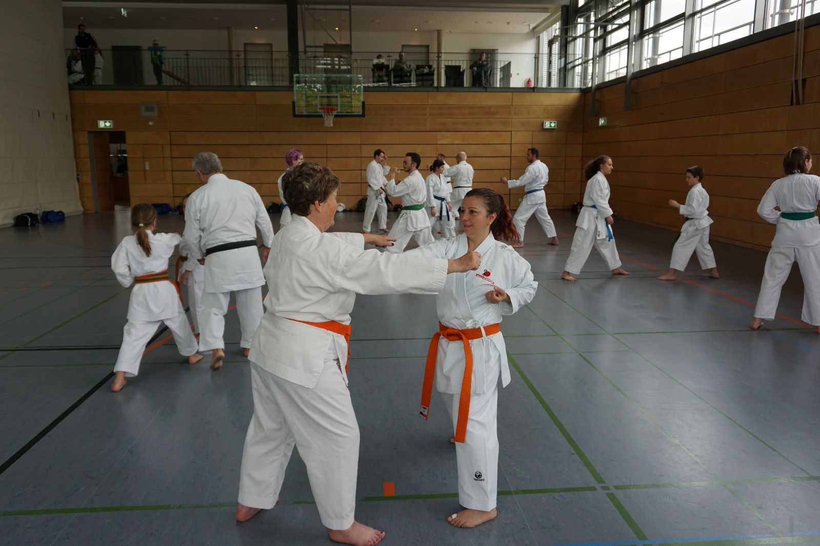 Vergrößerbares Bild