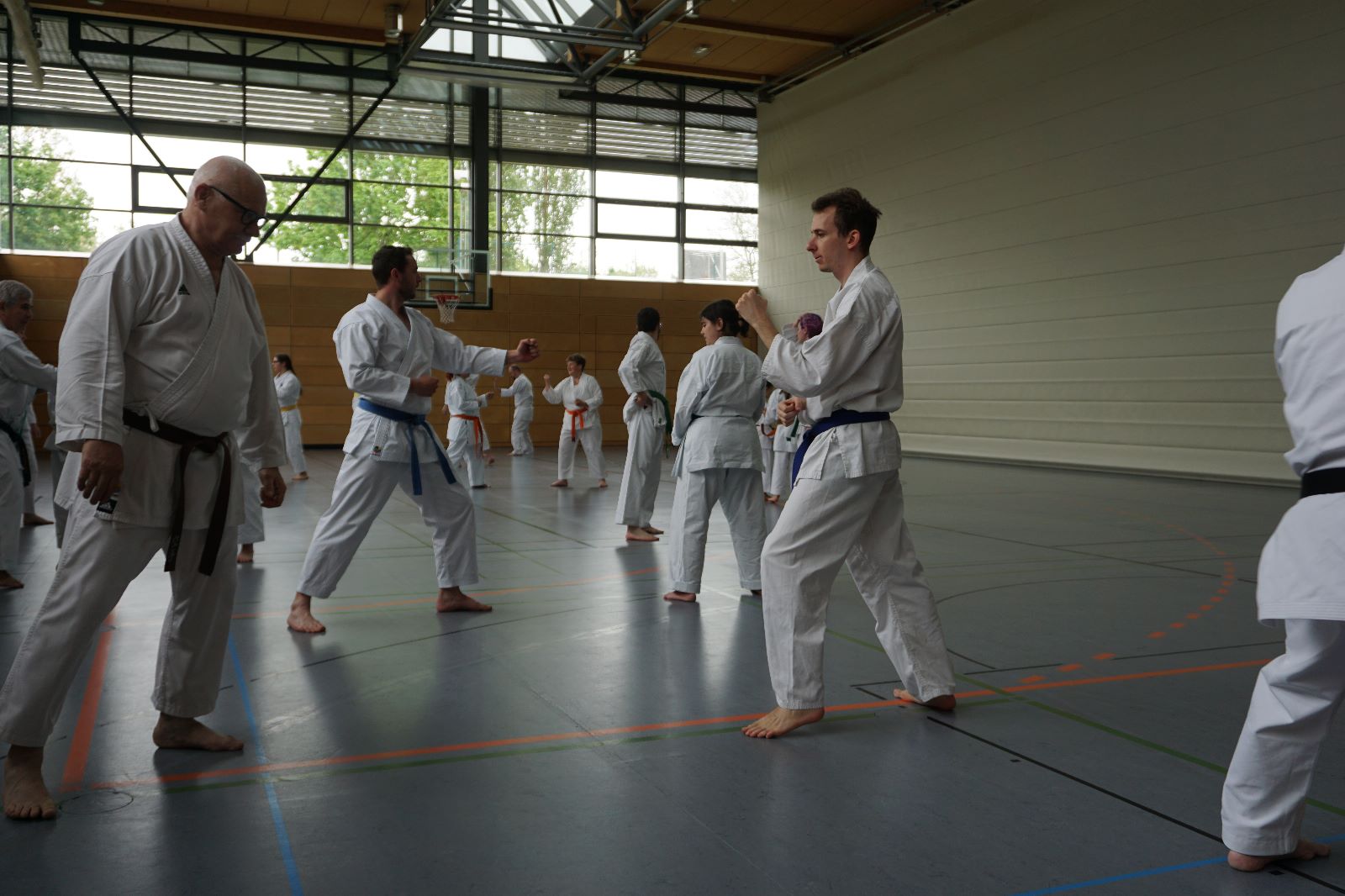 Vergrößerbares Bild