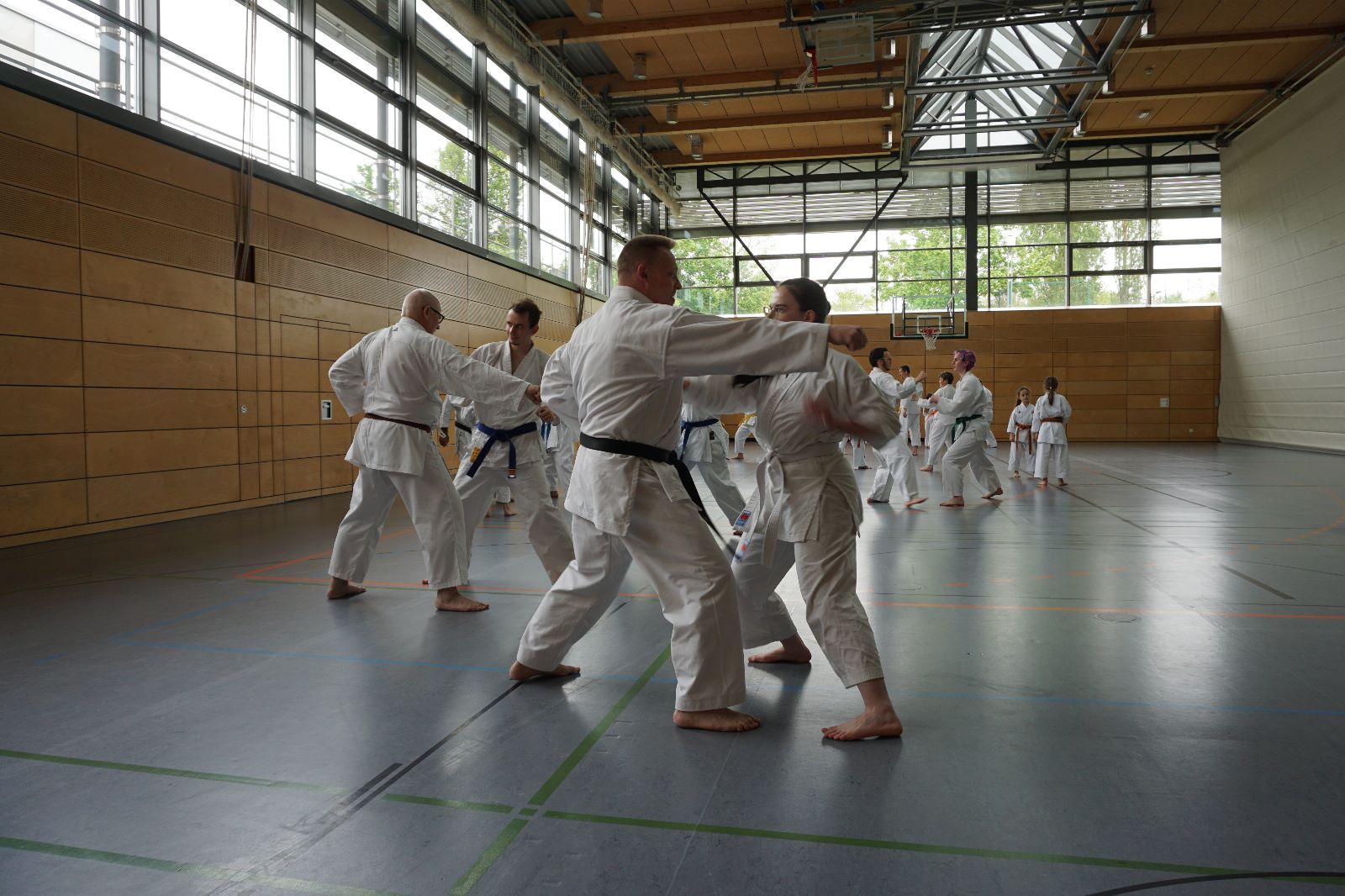 Vergrößerbares Bild