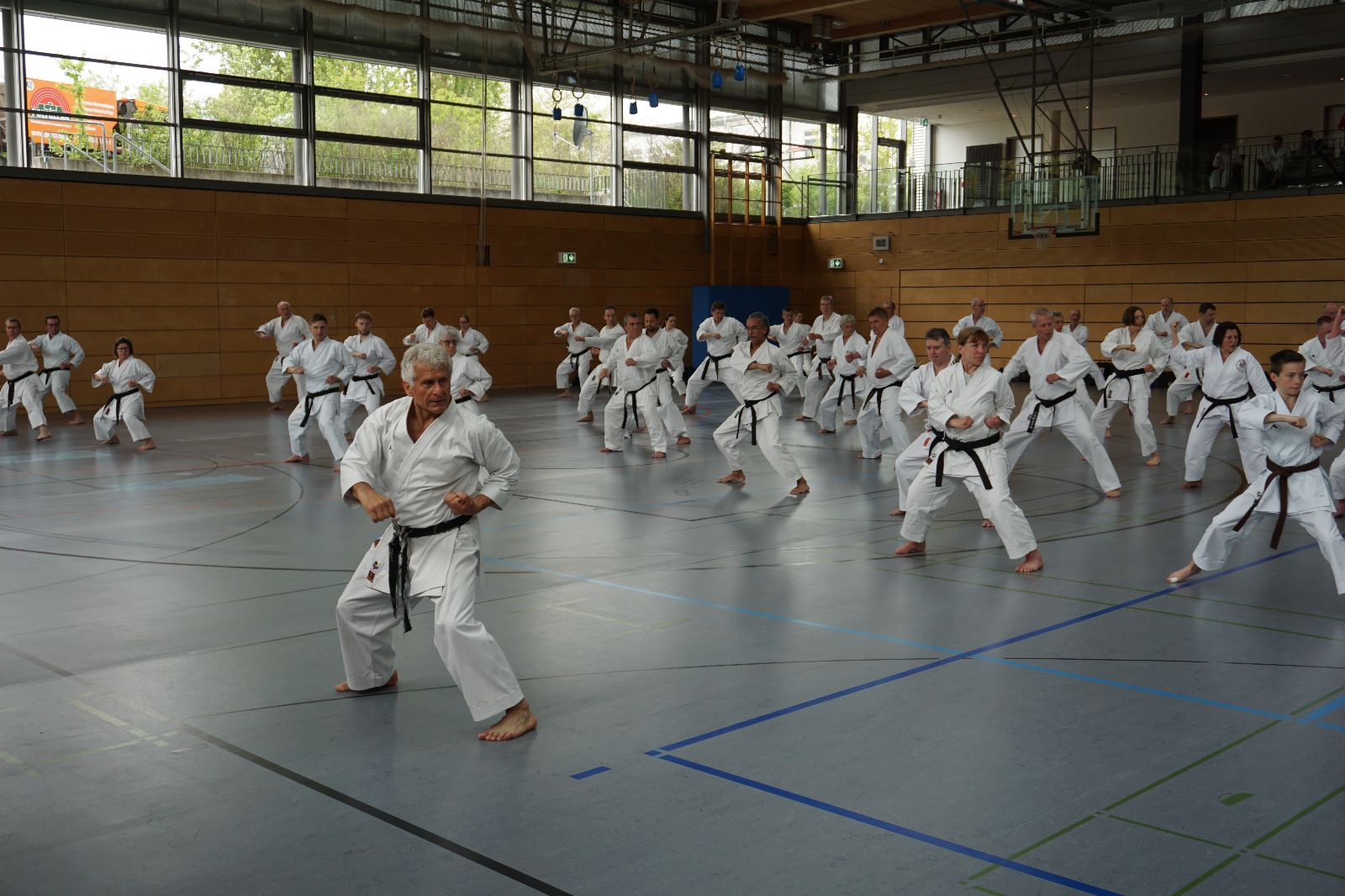 Vergrößerbares Bild