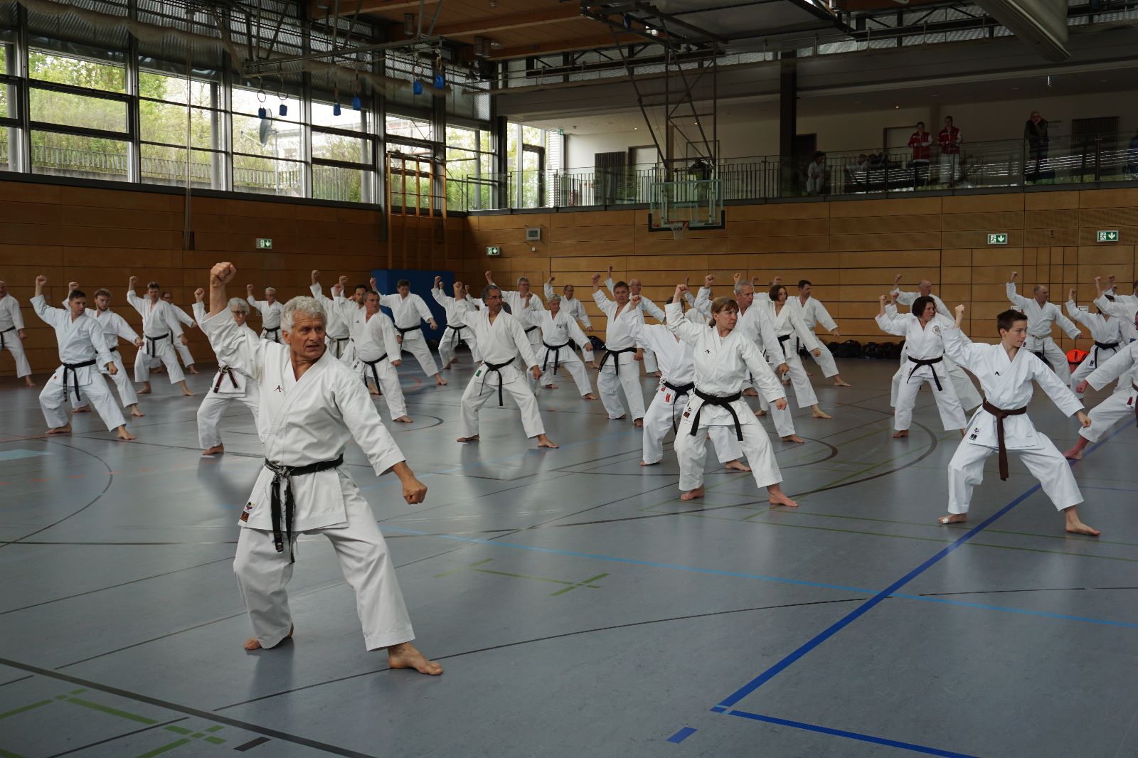 Vergrößerbares Bild