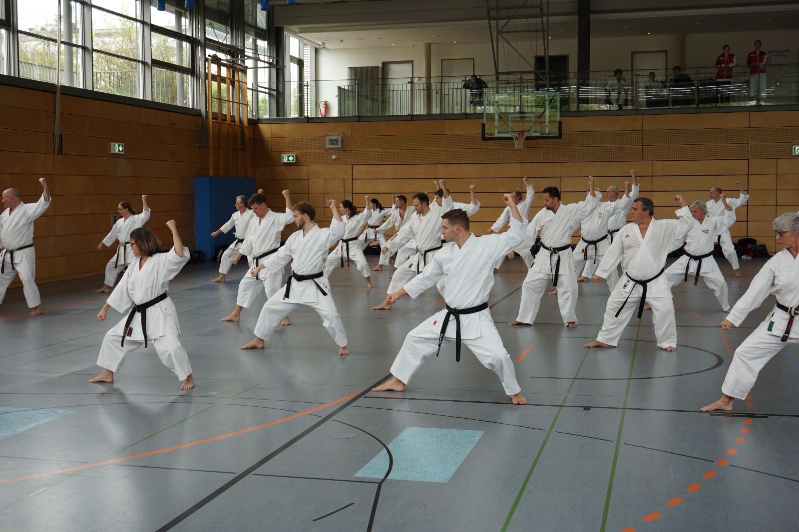 Vergrößerbares Bild