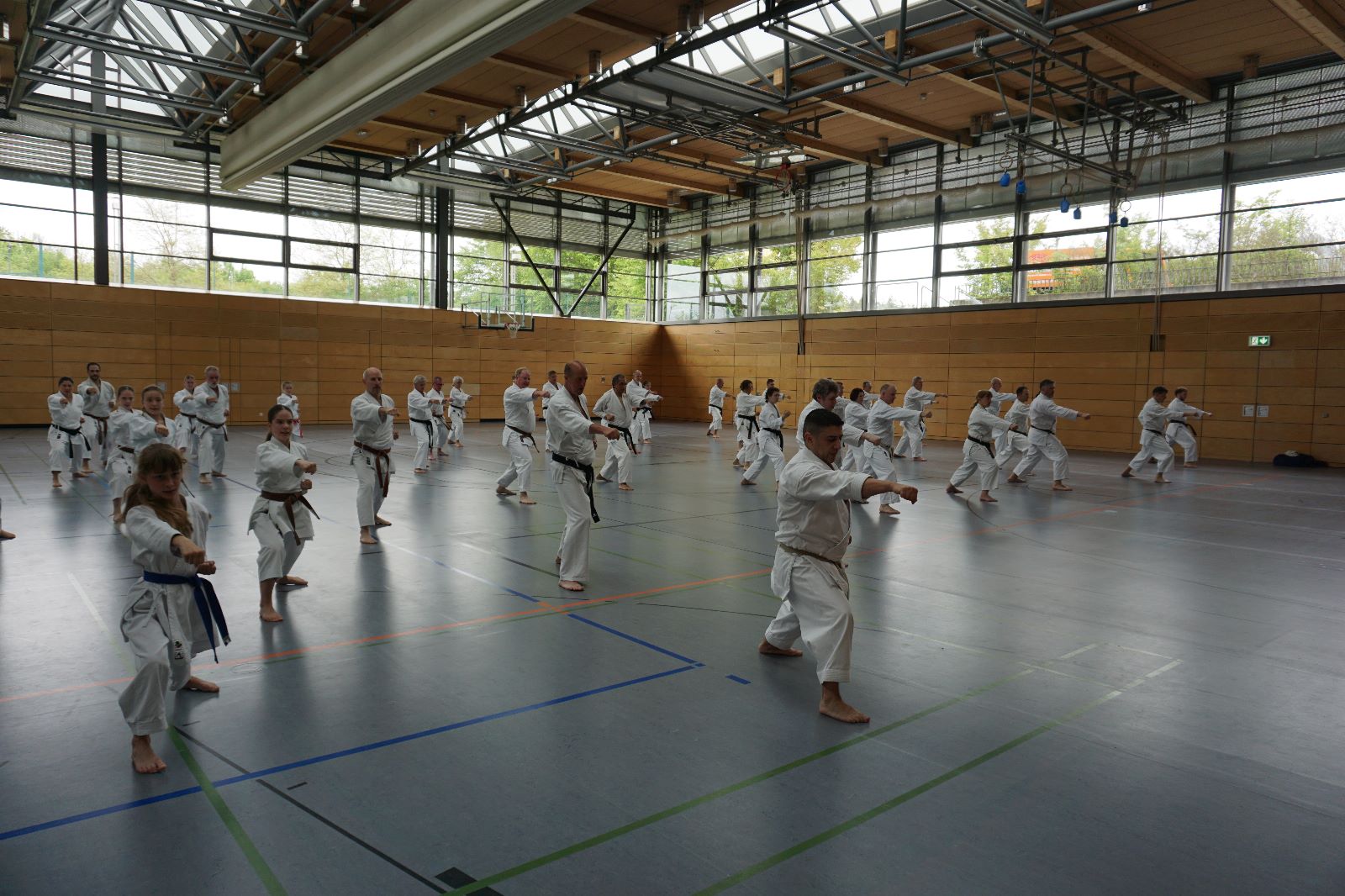 Vergrößerbares Bild