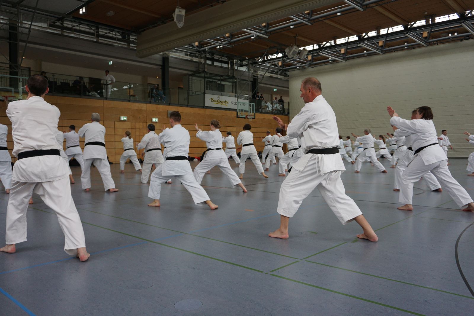 Vergrößerbares Bild