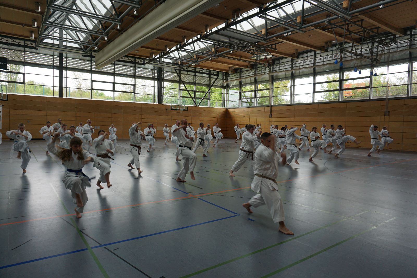 Vergrößerbares Bild