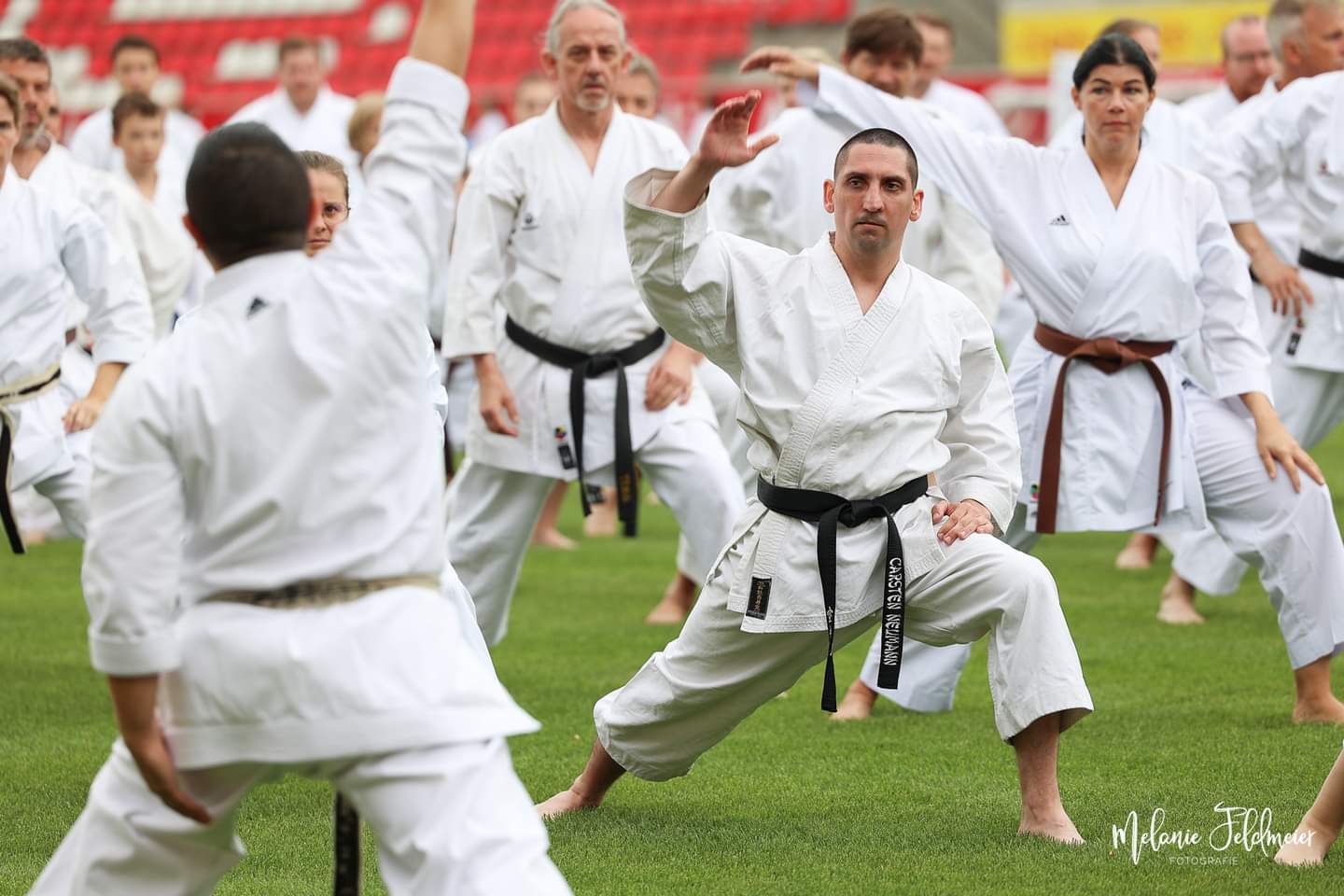 Vergrößerbares Bild