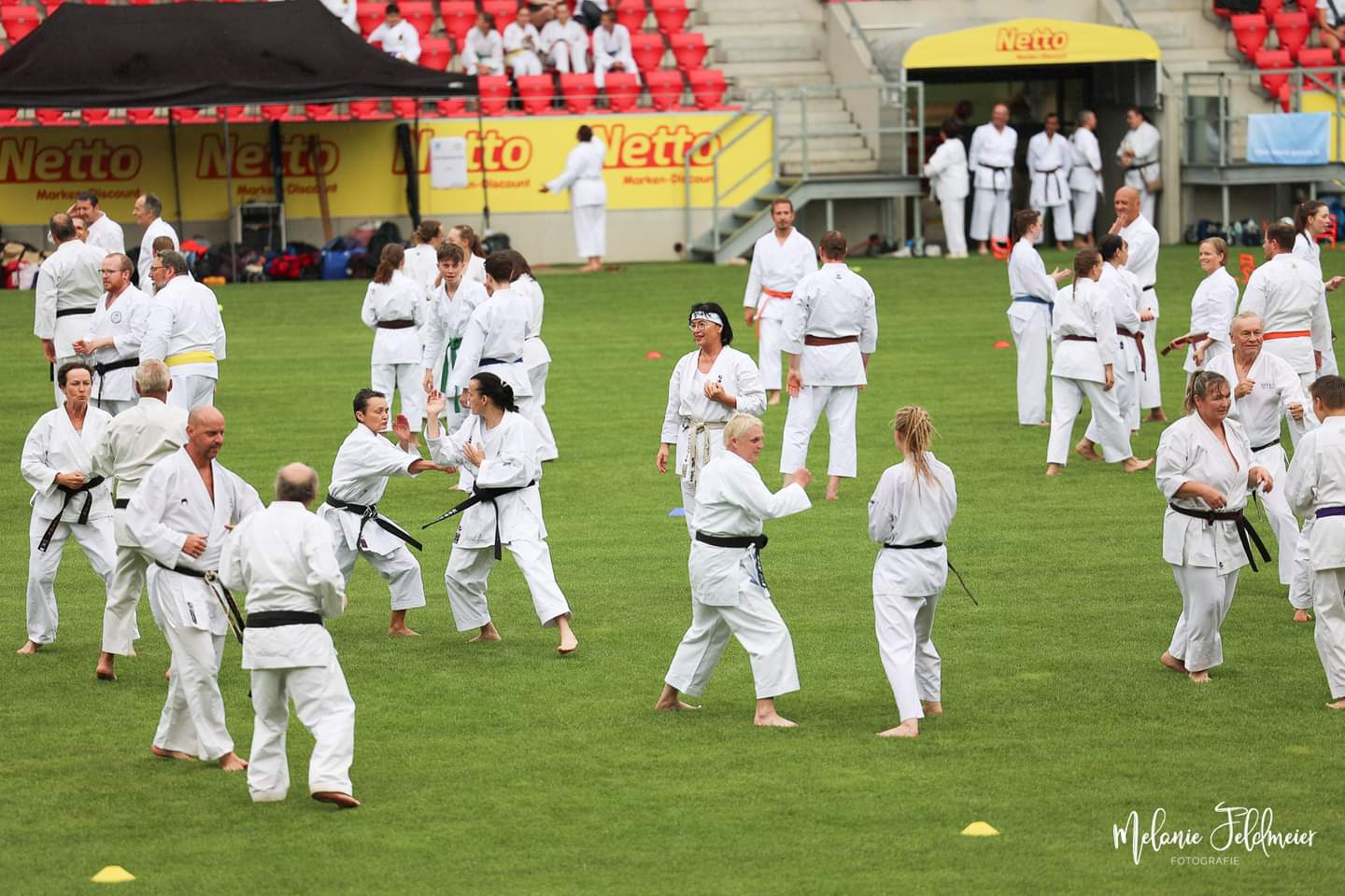 Vergrößerbares Bild