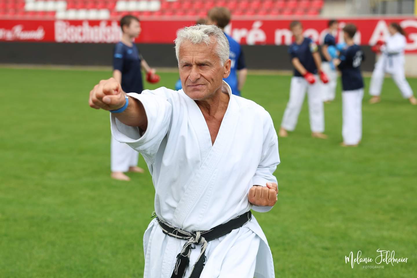 Vergrößerbares Bild