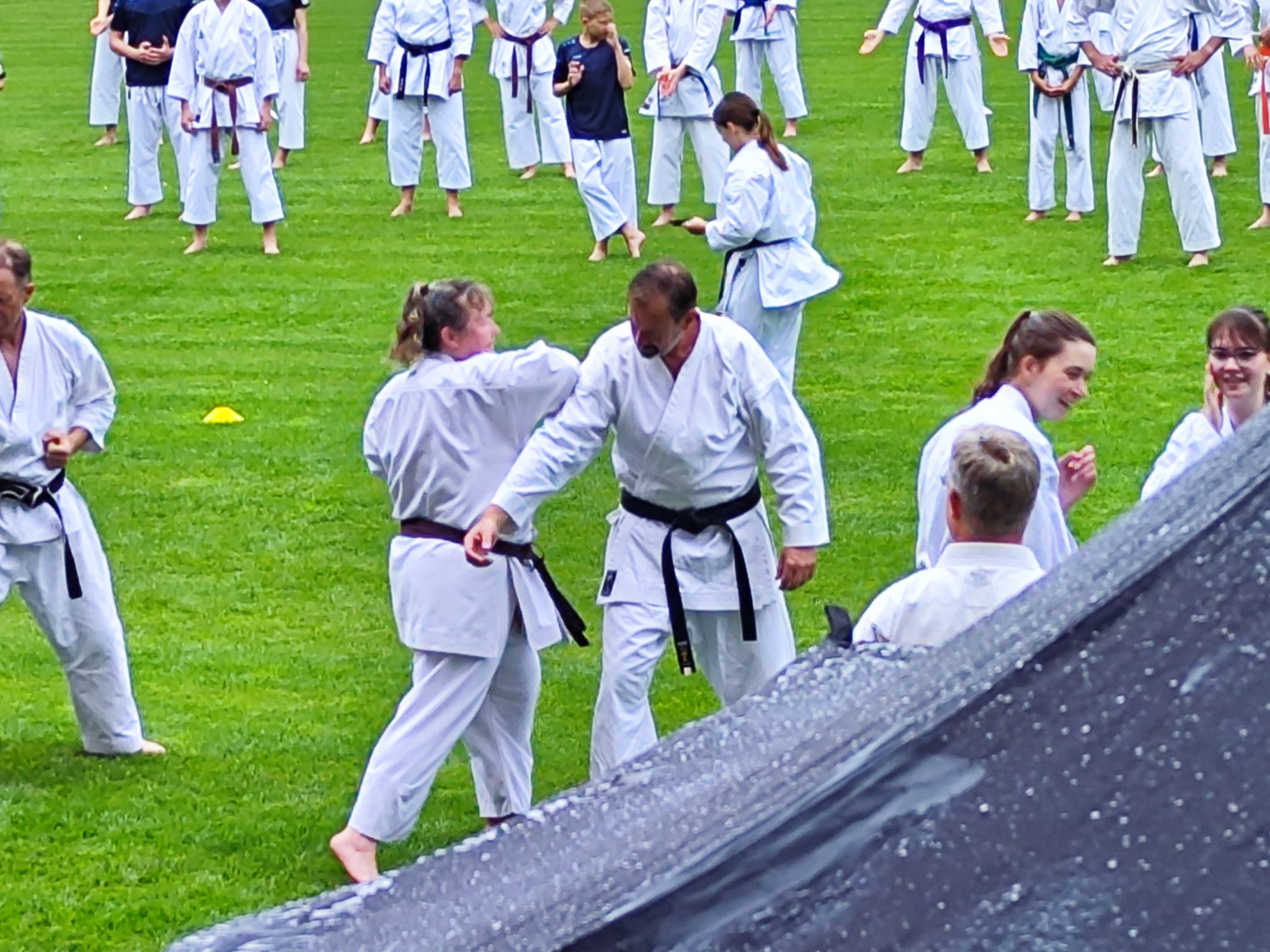 Vergrößerbares Bild