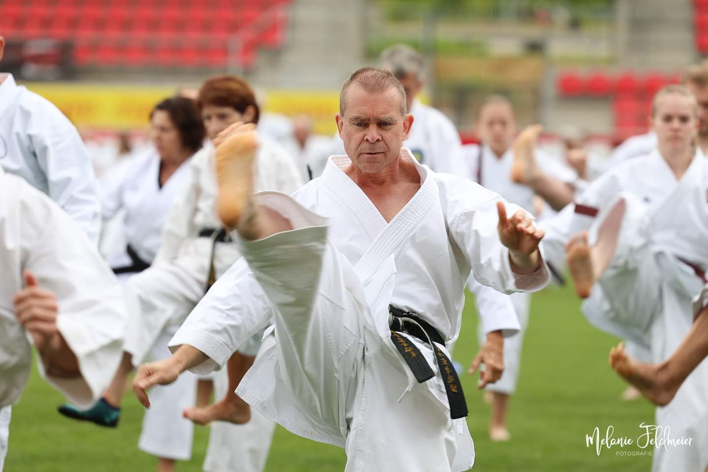 Vergrößerbares Bild