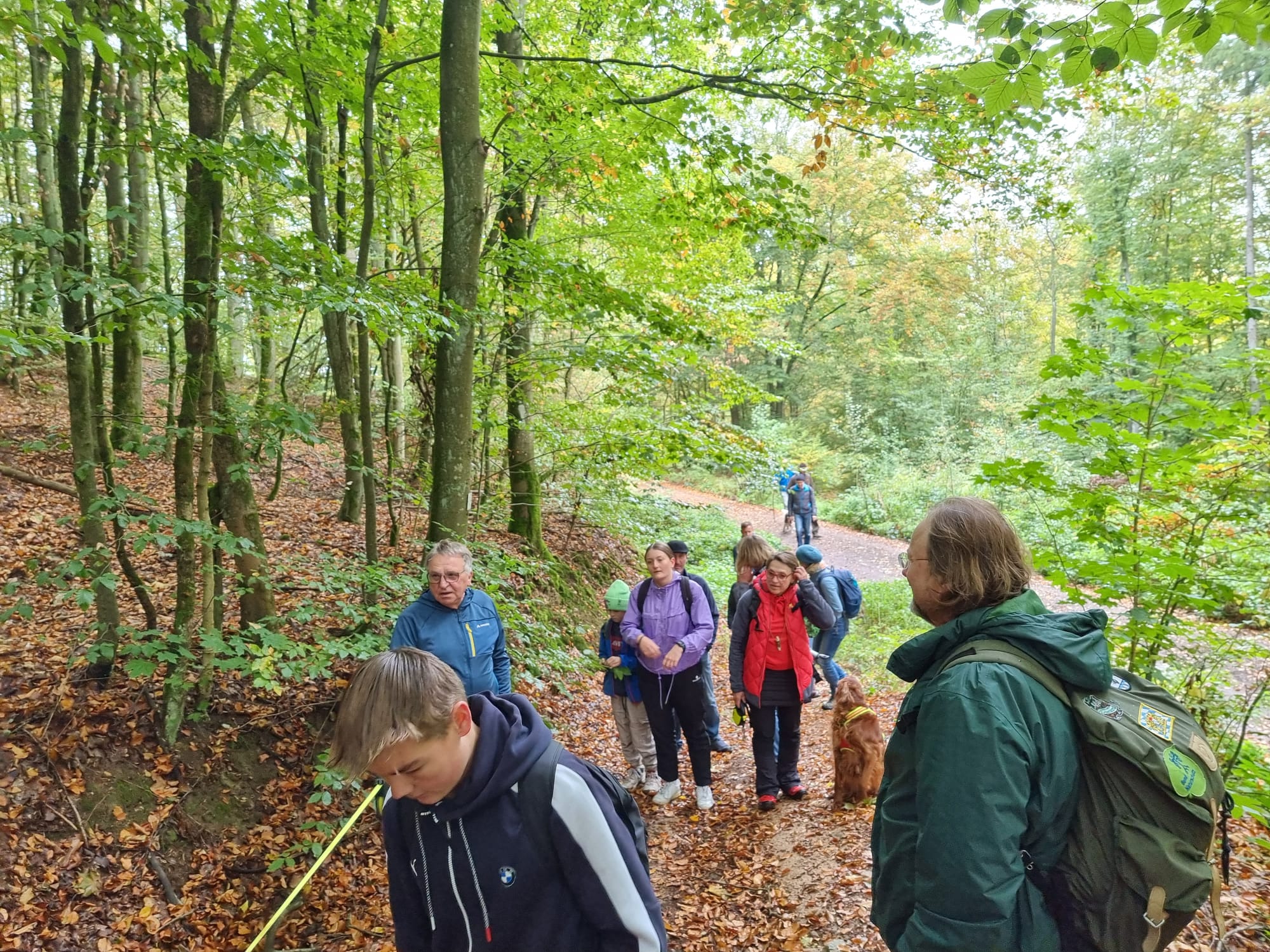 Vergrößerbares Bild