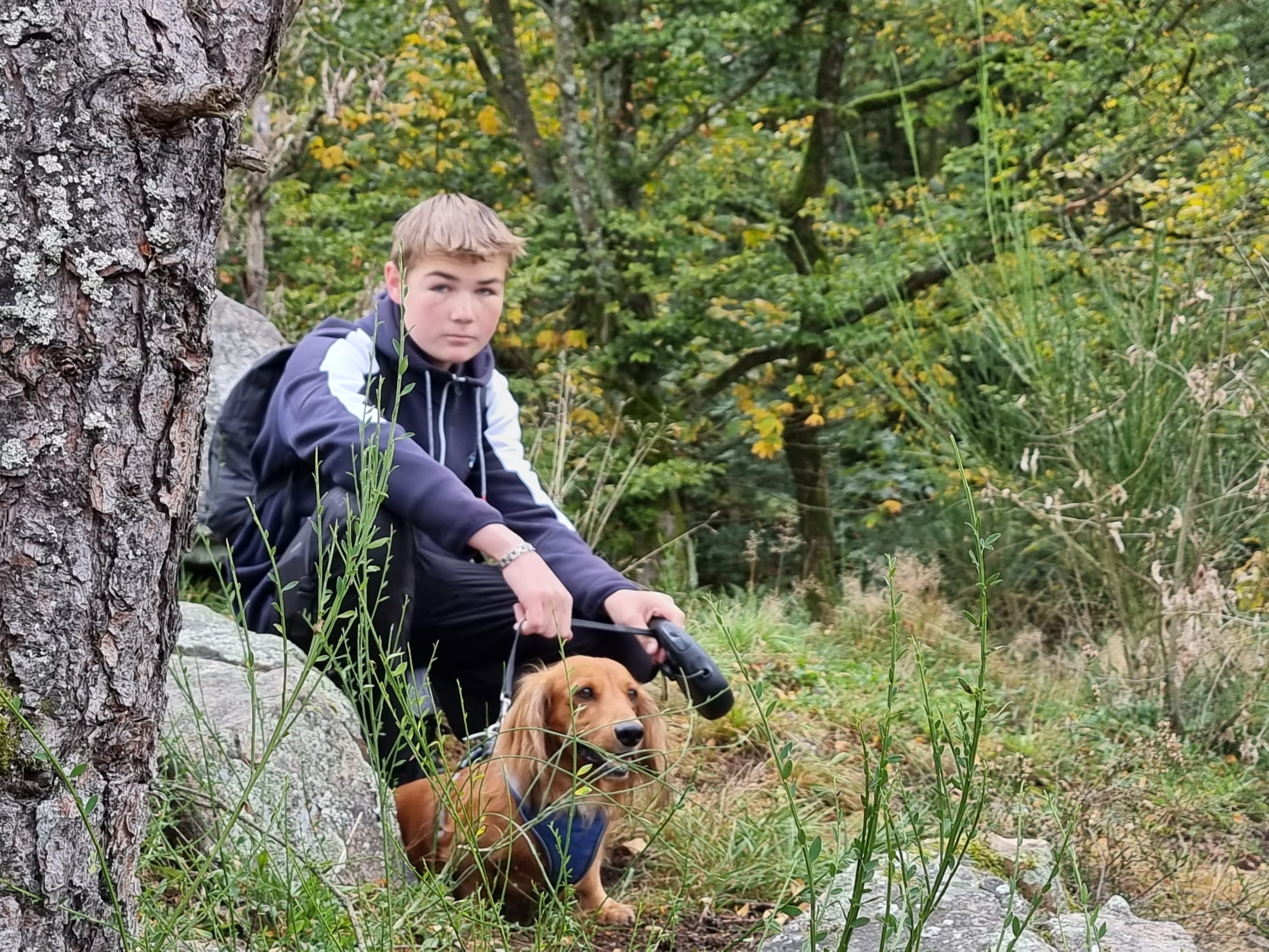 Vergrößerbares Bild