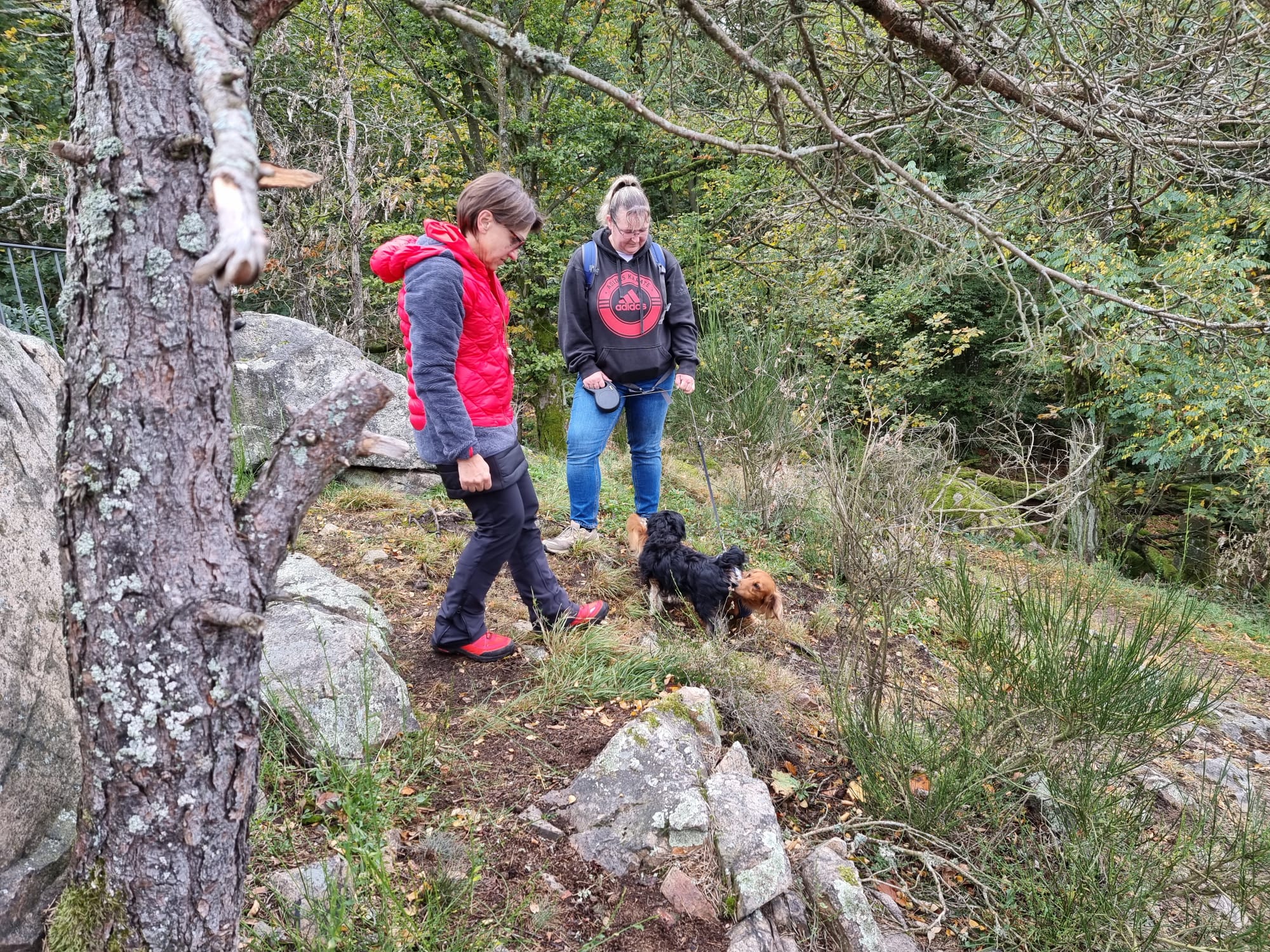 Vergrößerbares Bild