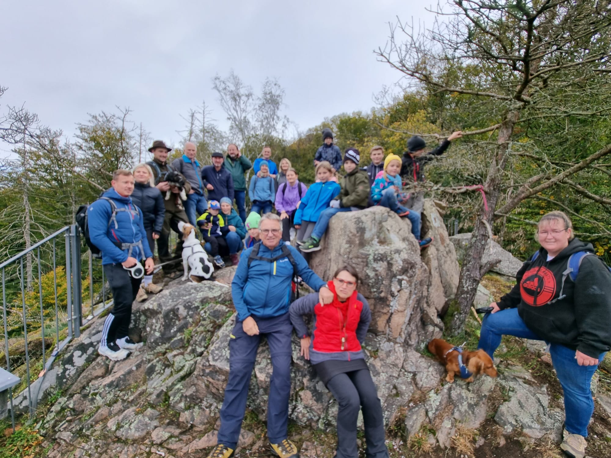 Vergrößerbares Bild