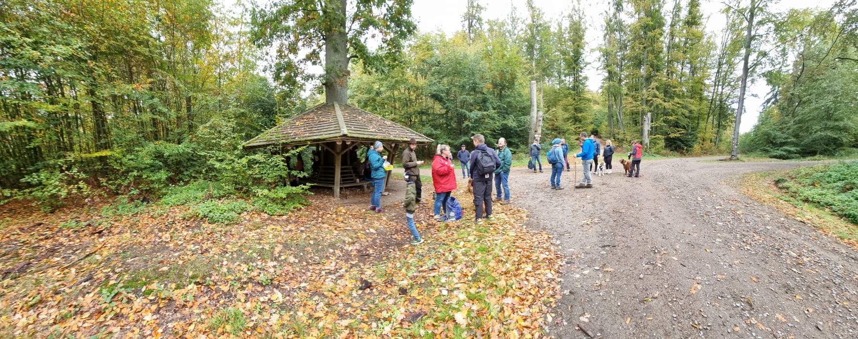 Vergrößerbares Bild