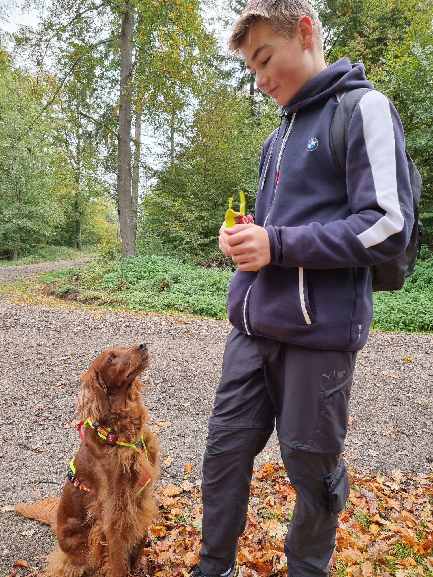 Vergrößerbares Bild