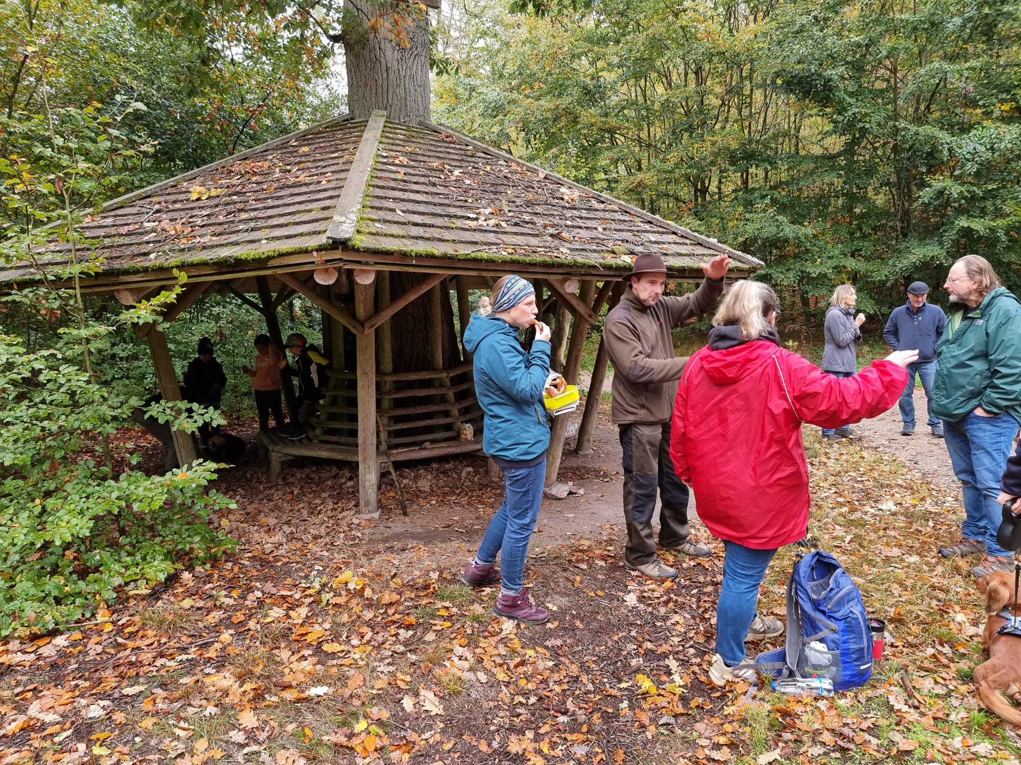 Vergrößerbares Bild
