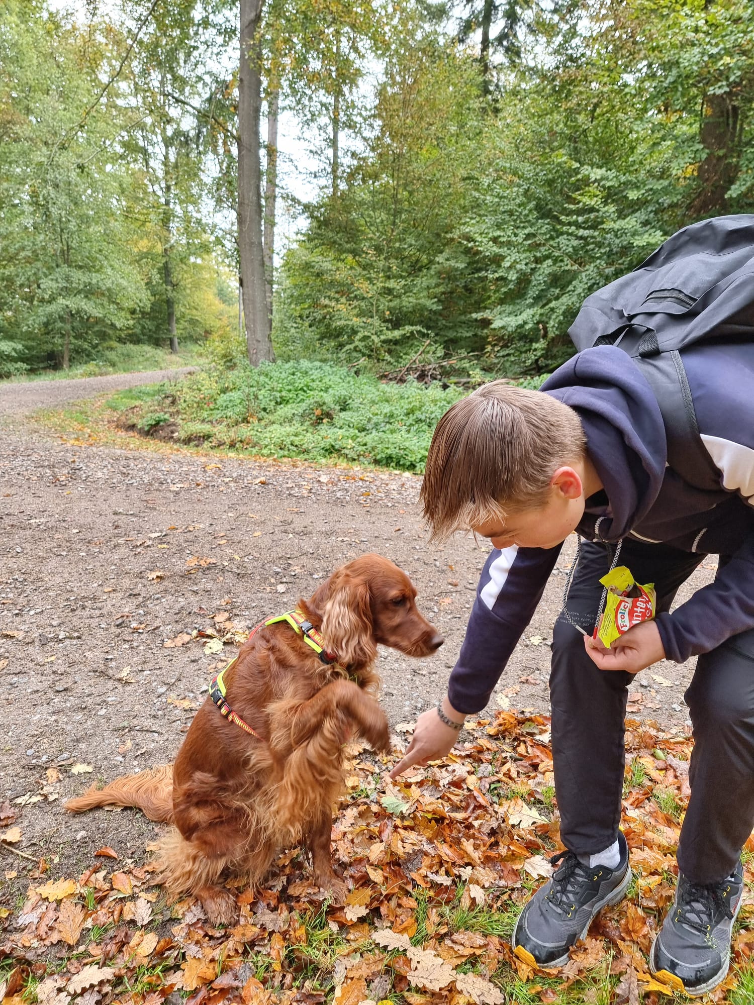 Vergrößerbares Bild
