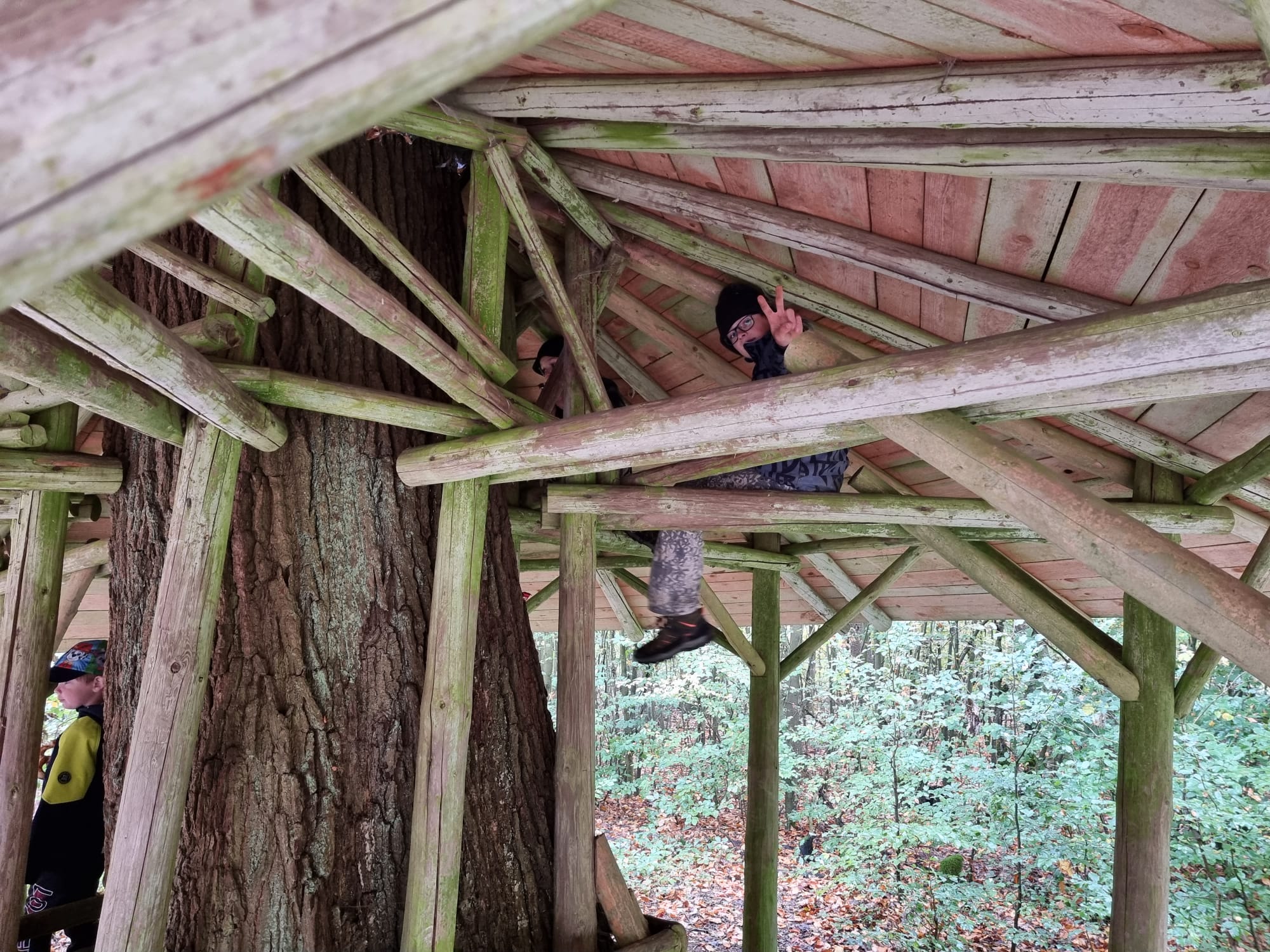 Vergrößerbares Bild