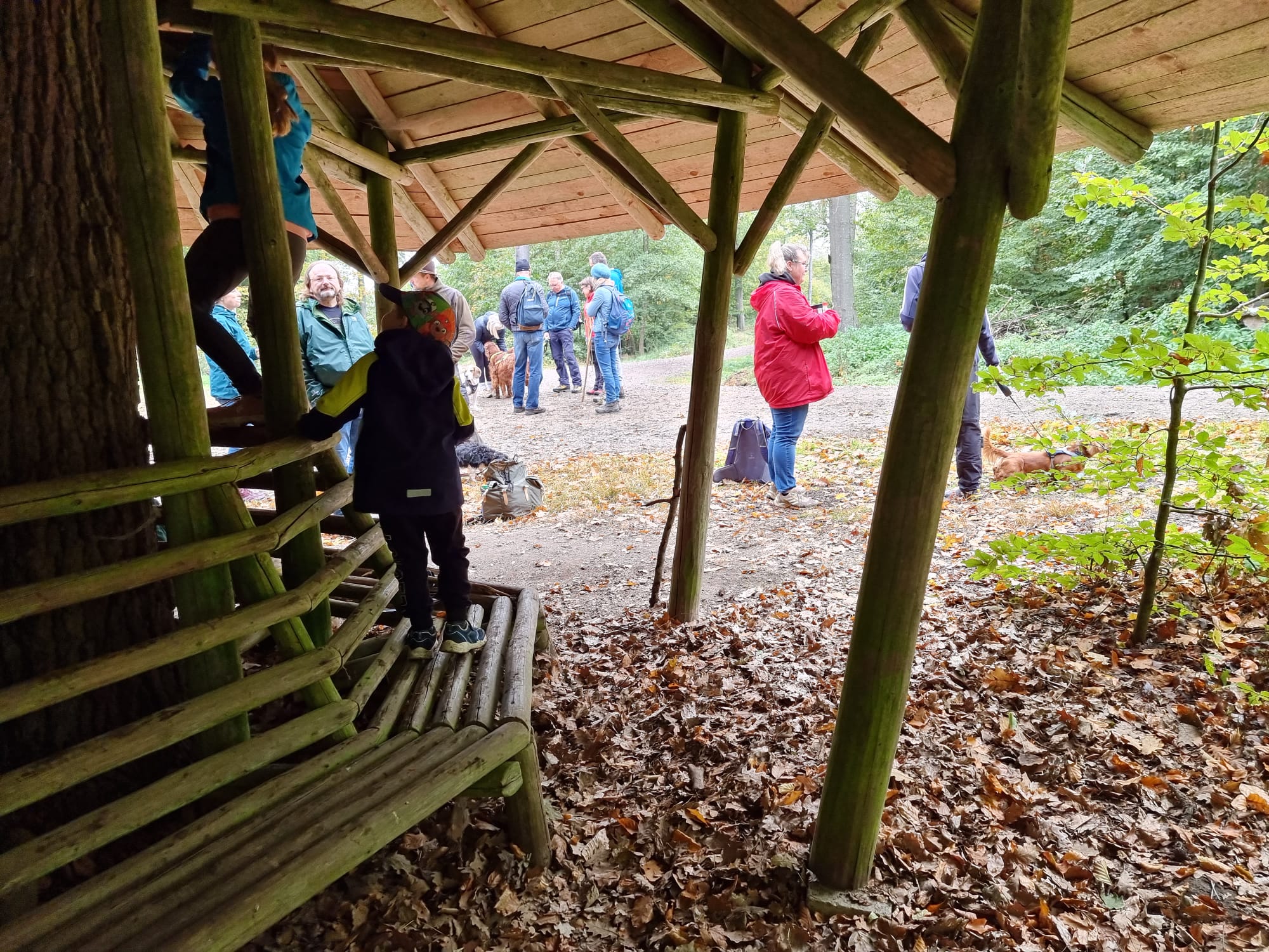 Vergrößerbares Bild