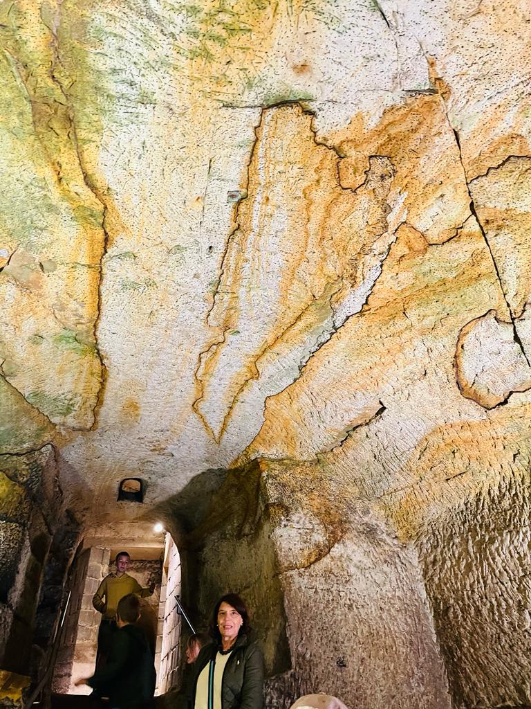 Vergrößerbares Bild