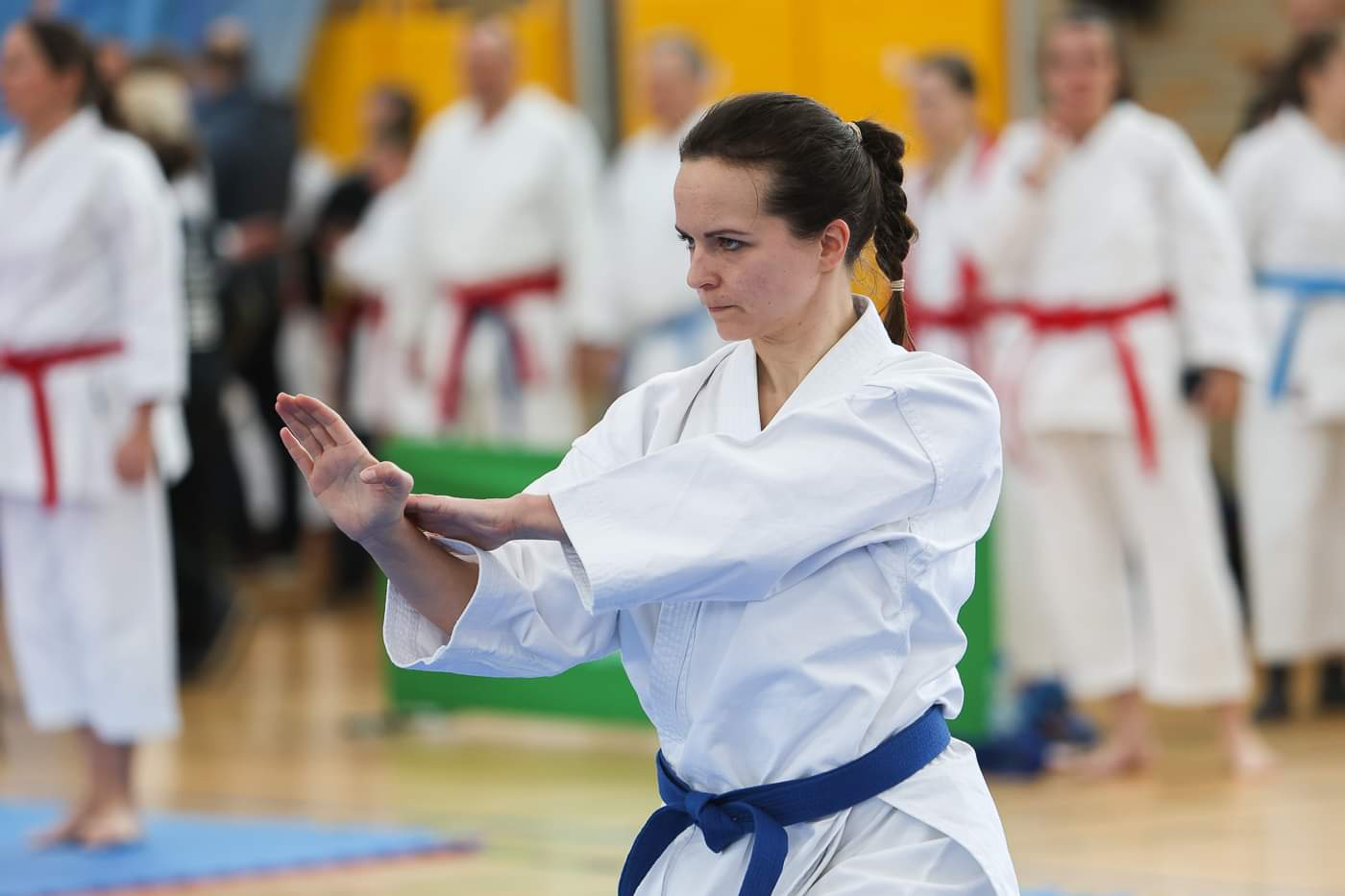 Vergrößerbares Bild