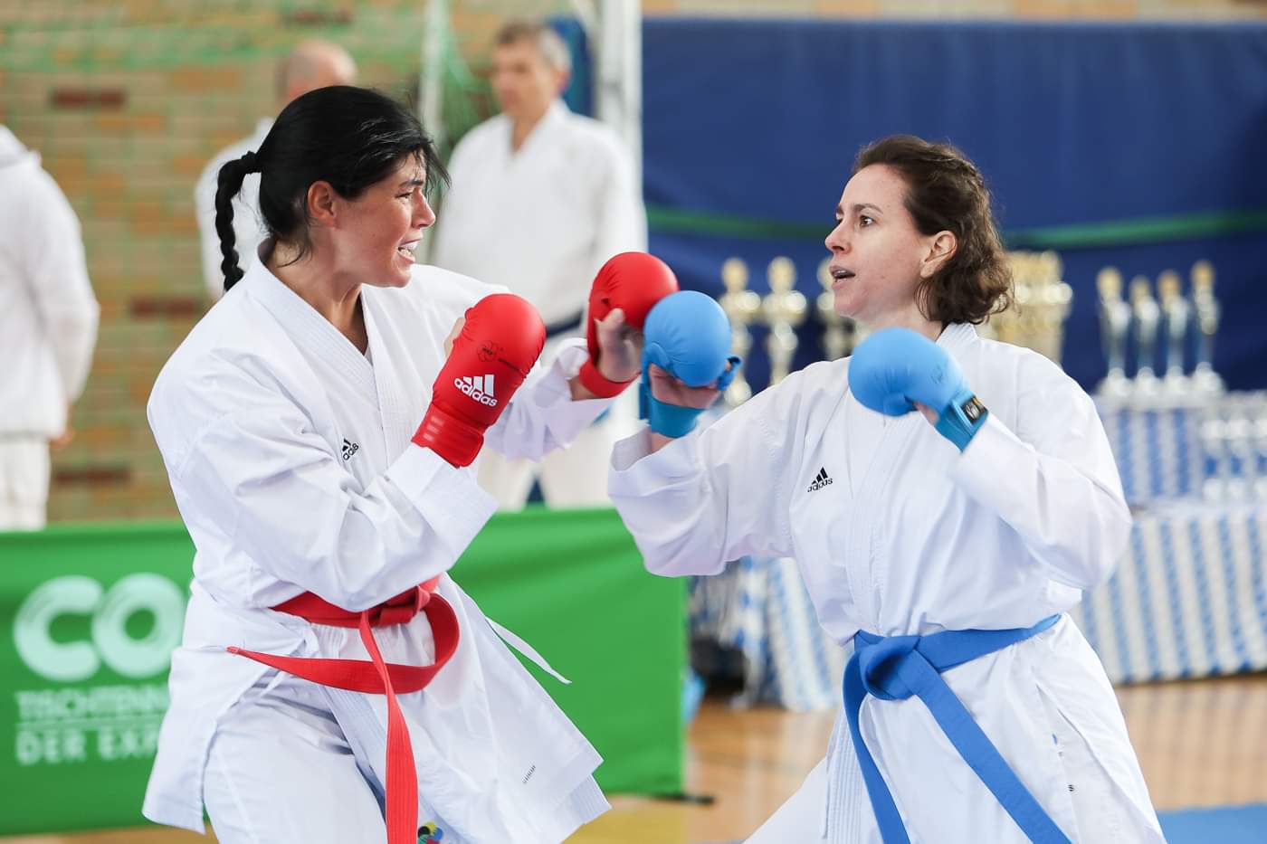 Vergrößerbares Bild