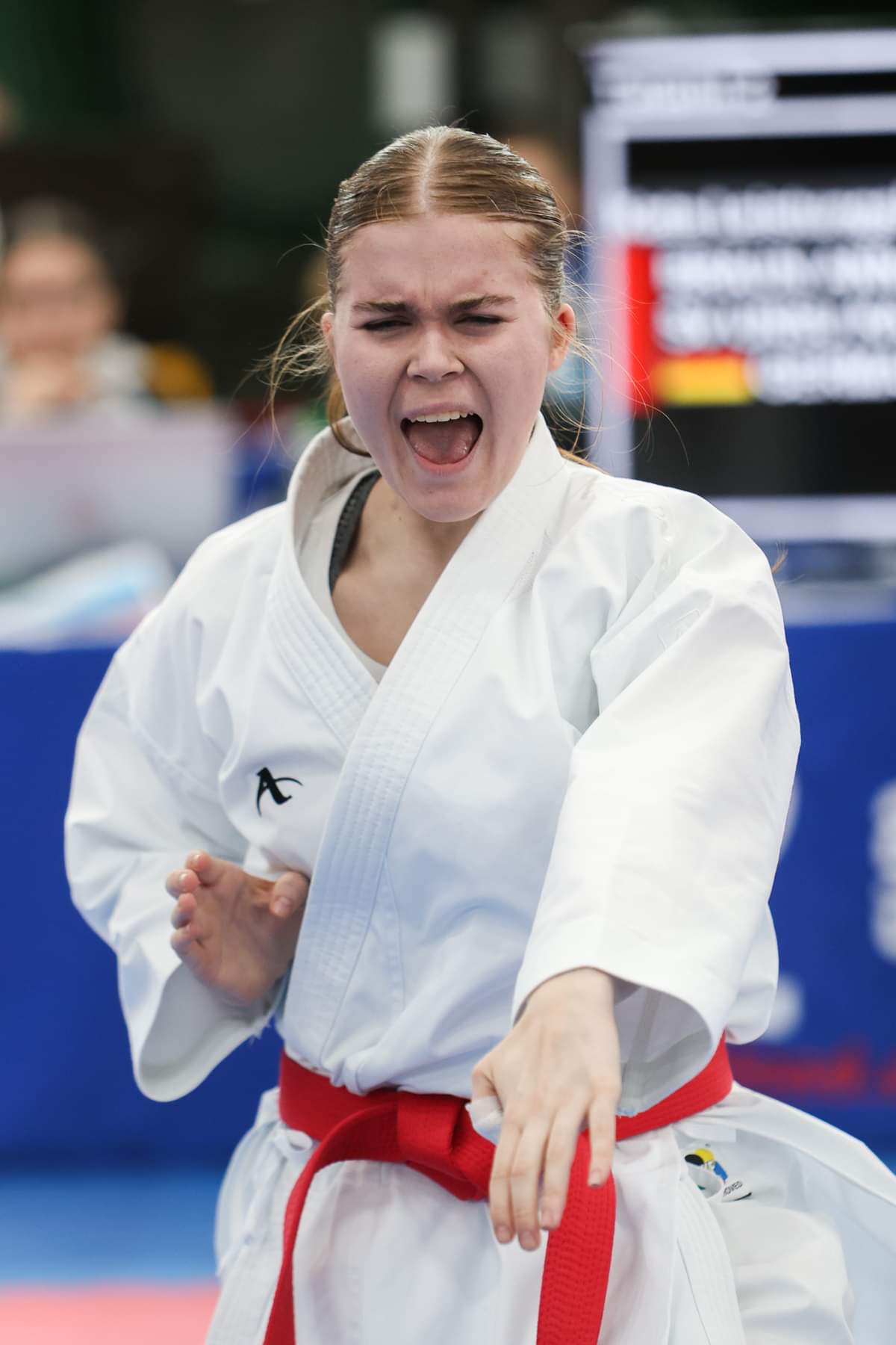 Vergrößerbares Bild