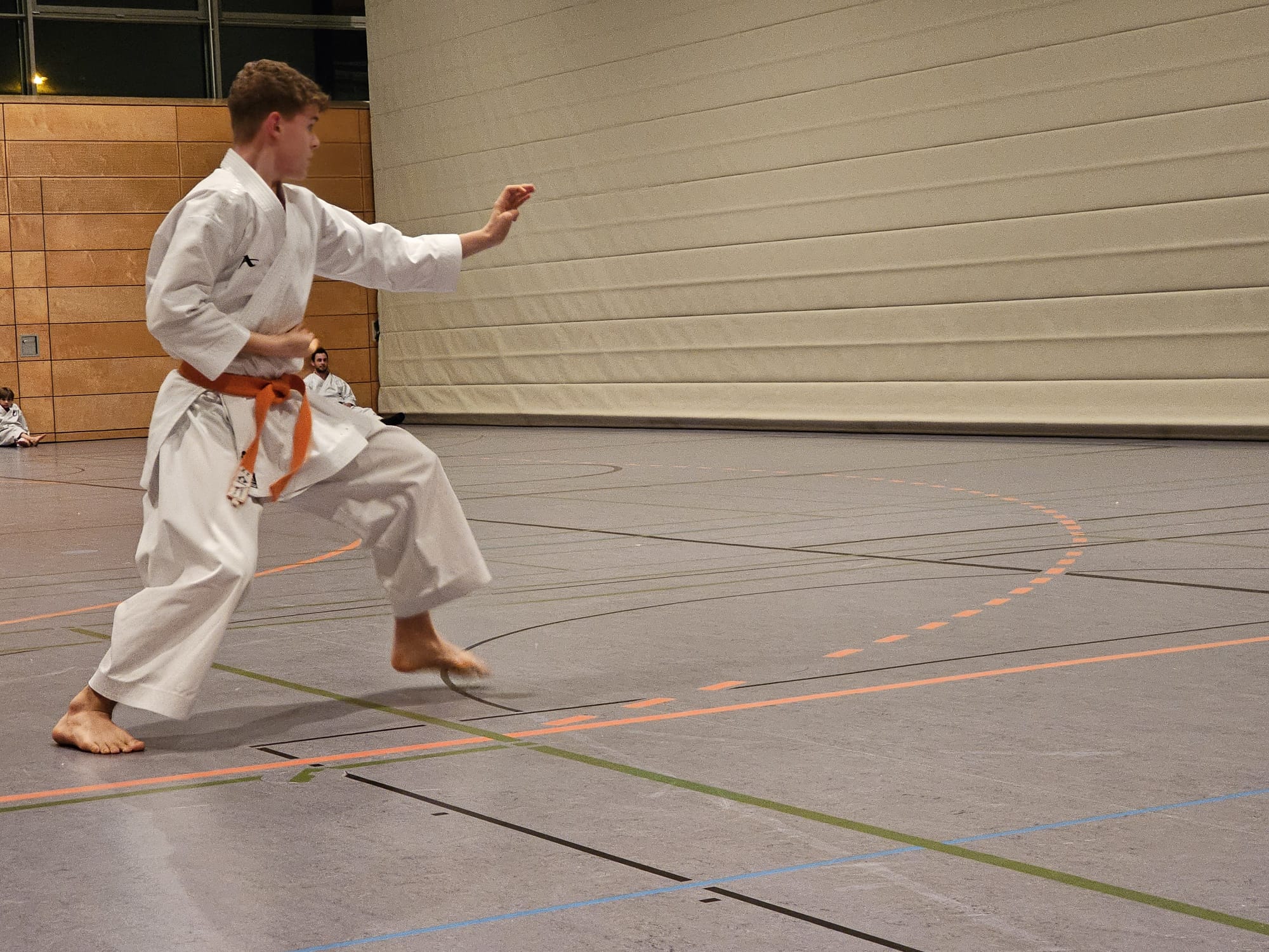 Vergrößerbares Bild