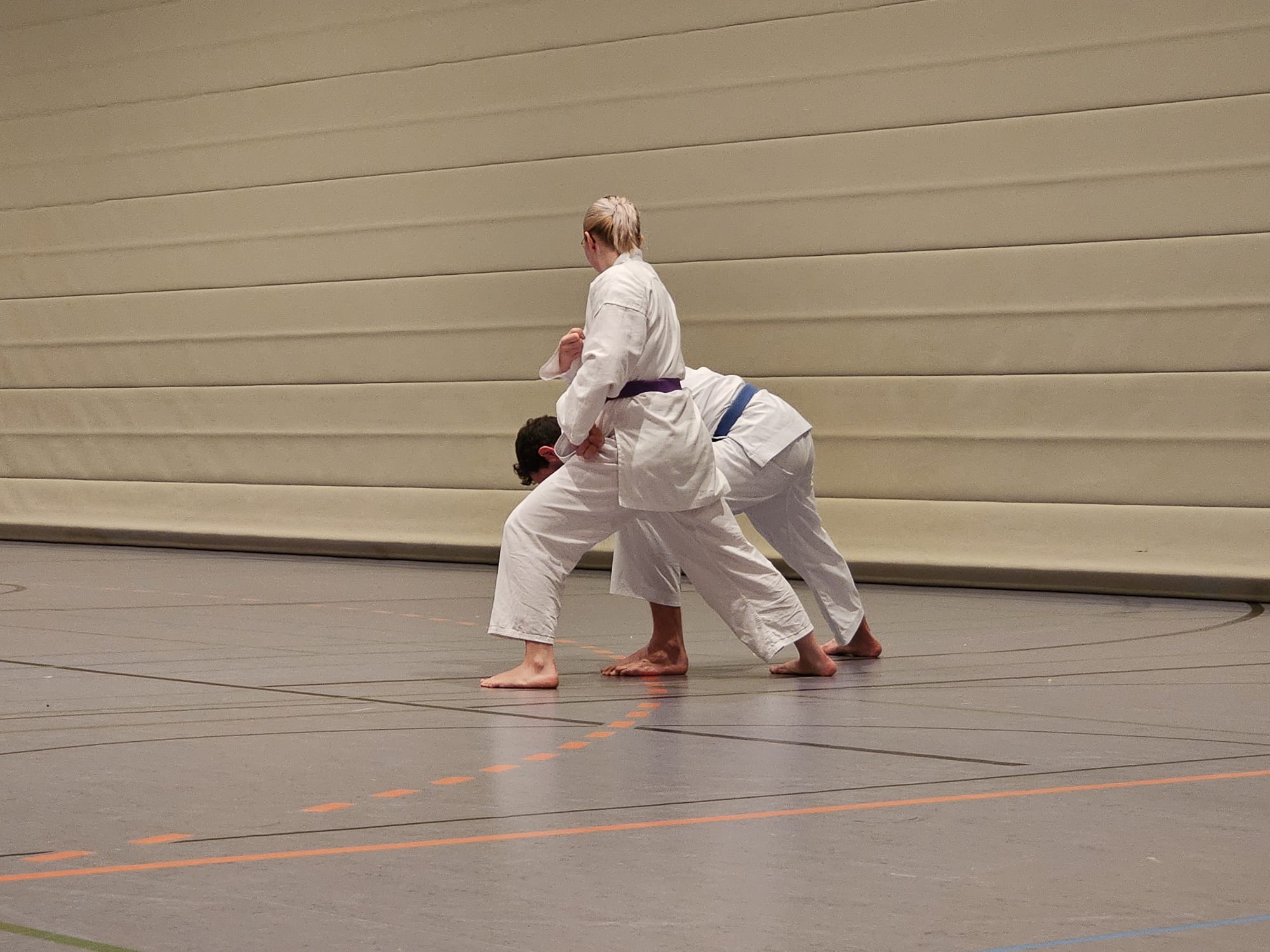 Vergrößerbares Bild