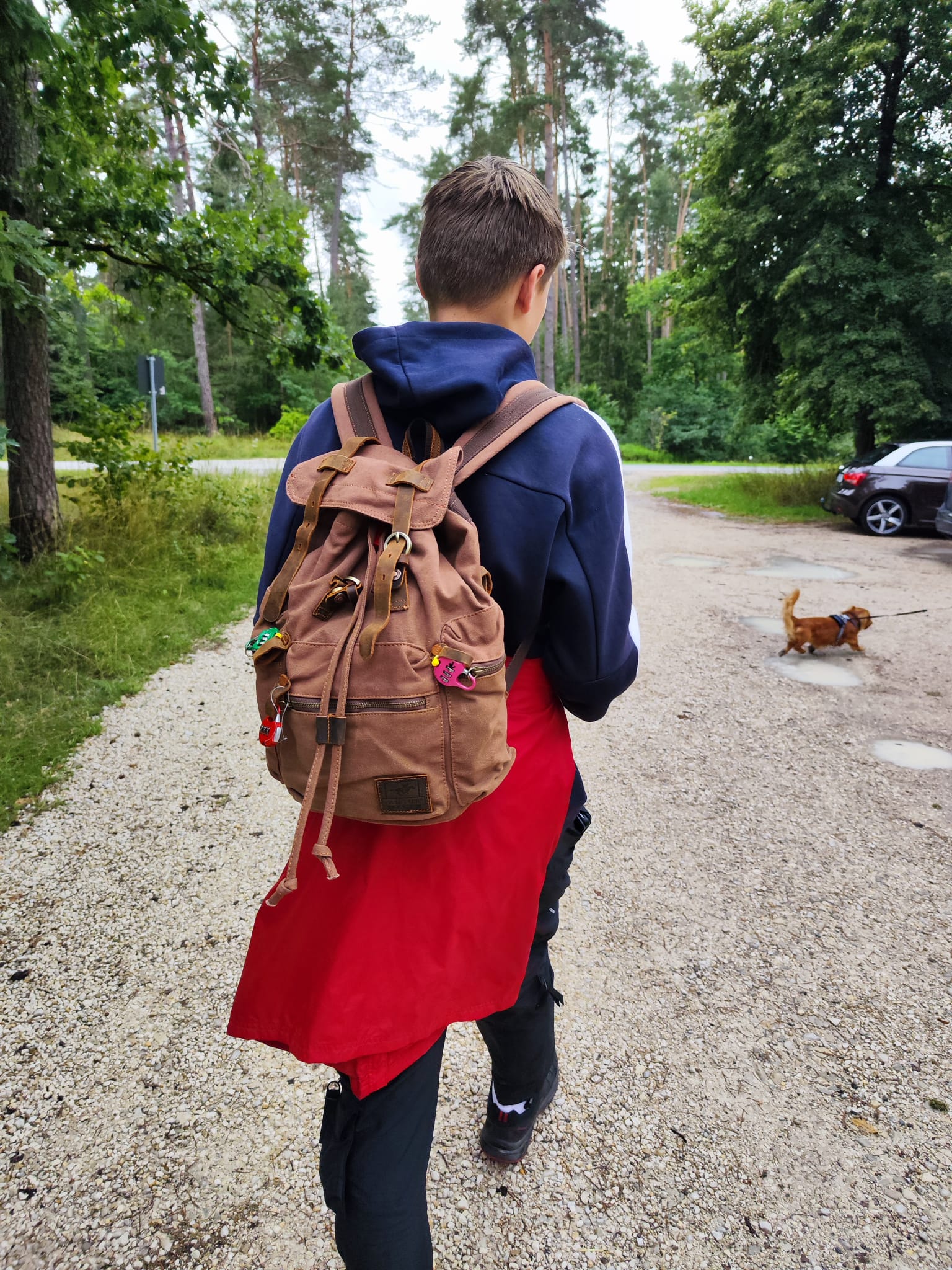 Vergrößerbares Bild