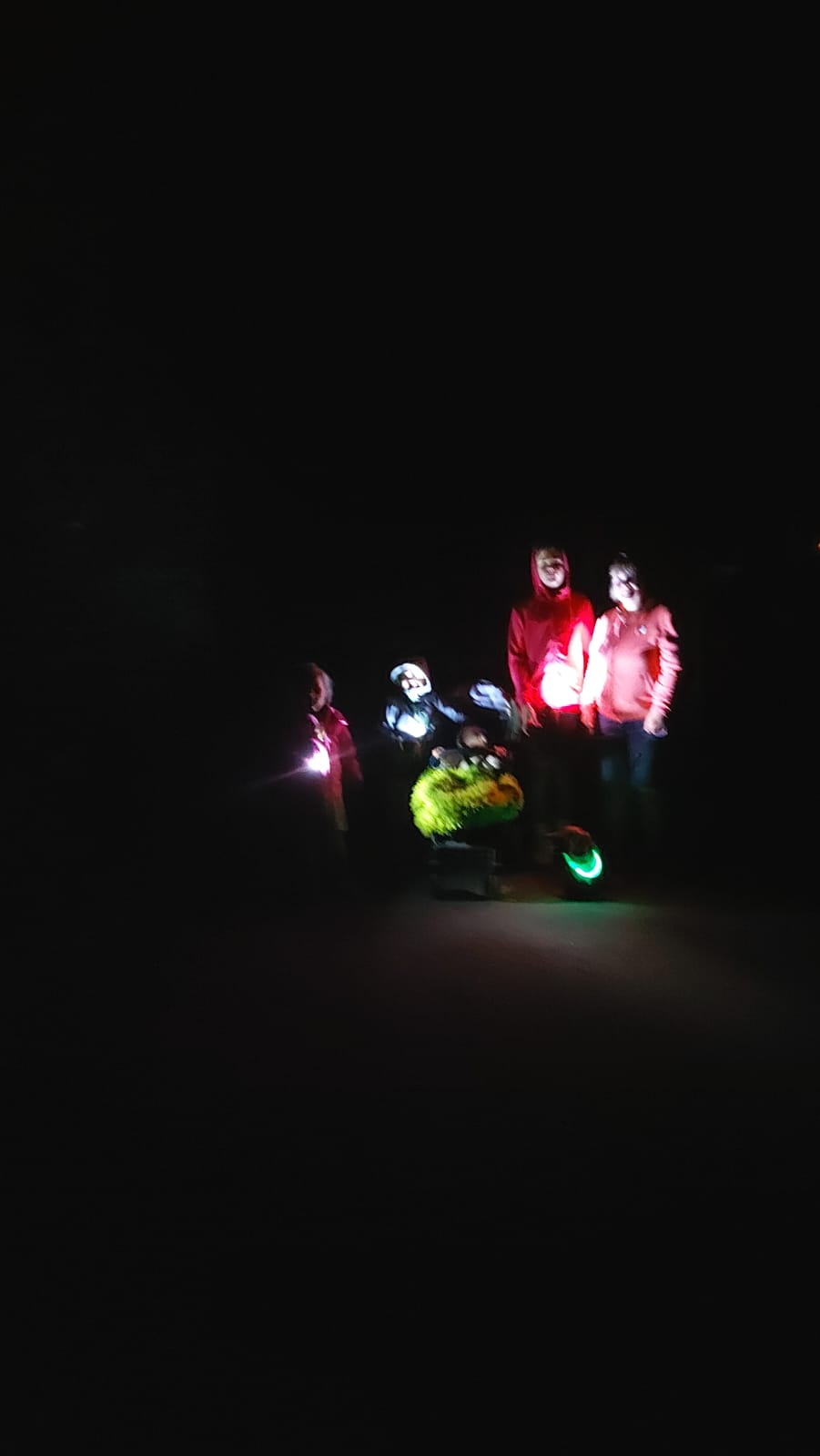 Vergrößerbares Bild