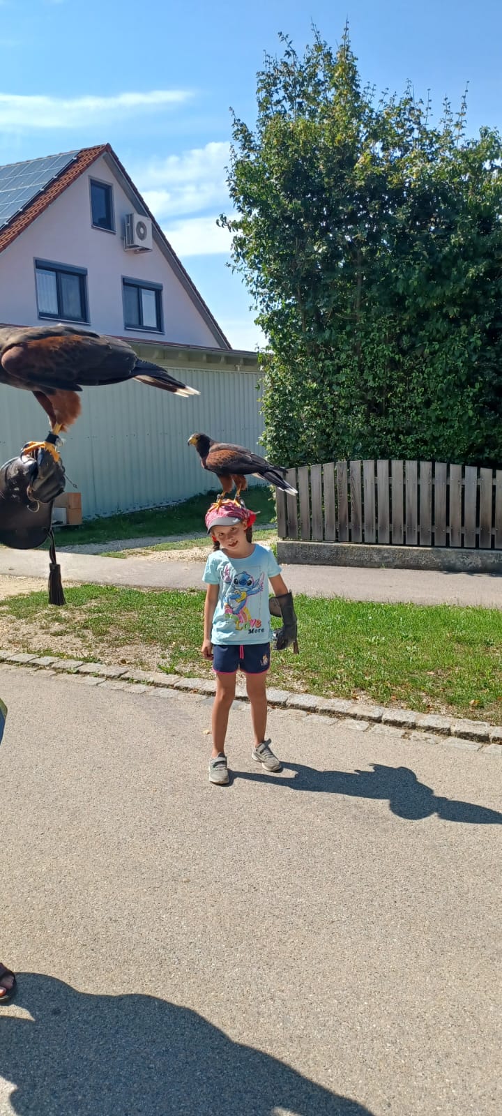 Vergrößerbares Bild